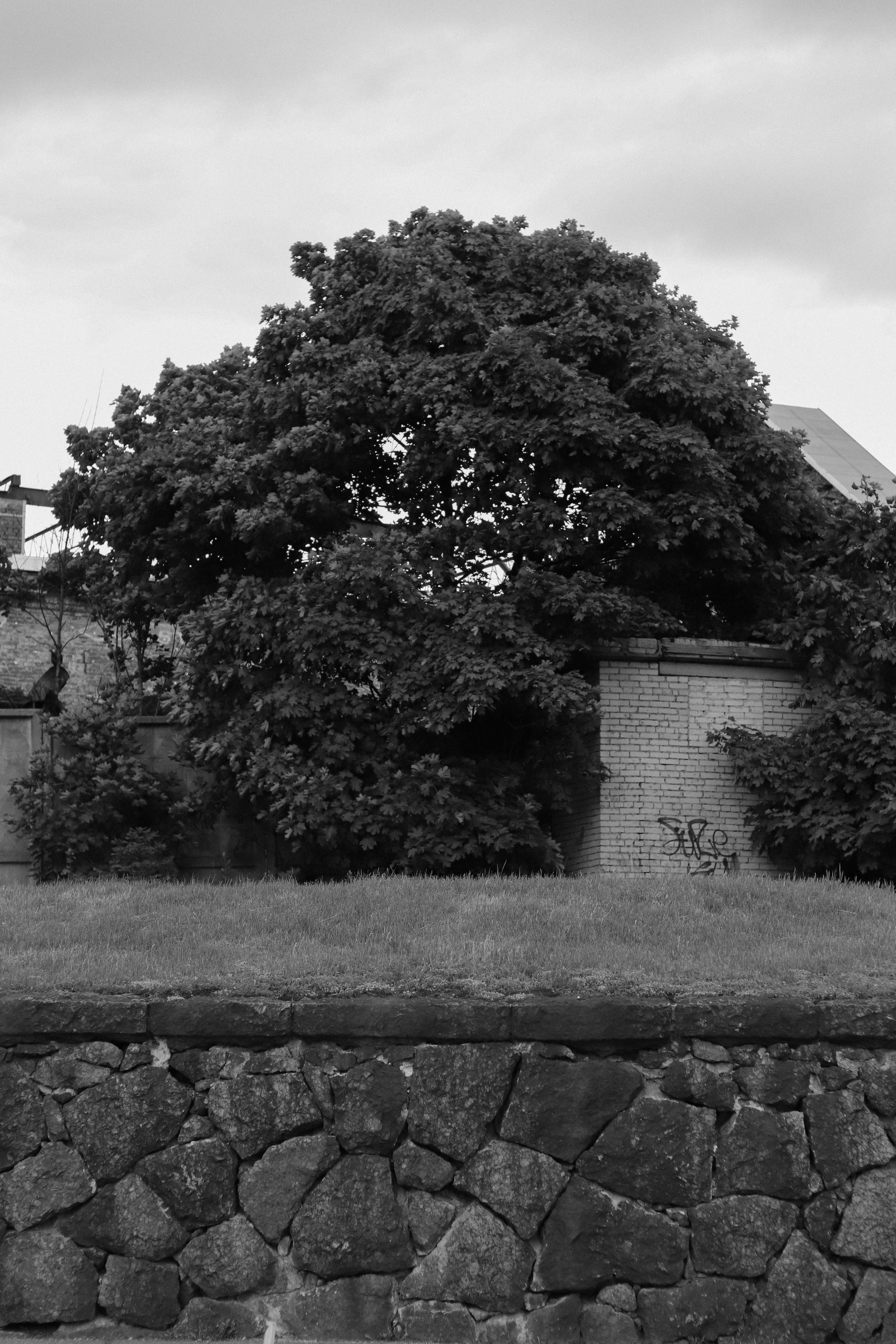 Contour. Фотограф и исследователь фотографии из Санкт-Петербурга Елизавета Веприцкая