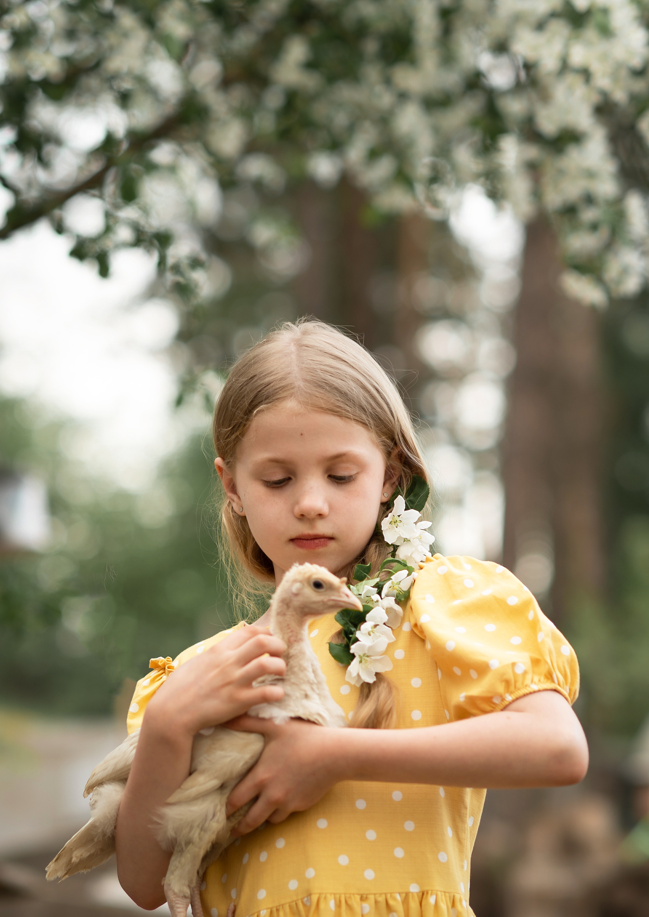 Дарина в гостях у бабушки. Семейный фотограф в Красноярске Надежда Кошелева