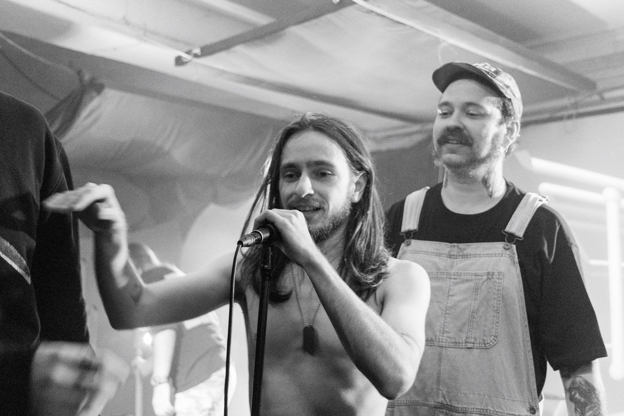 Змееед, Apodemus, 20.12.25, TAGO)))MAGO)))