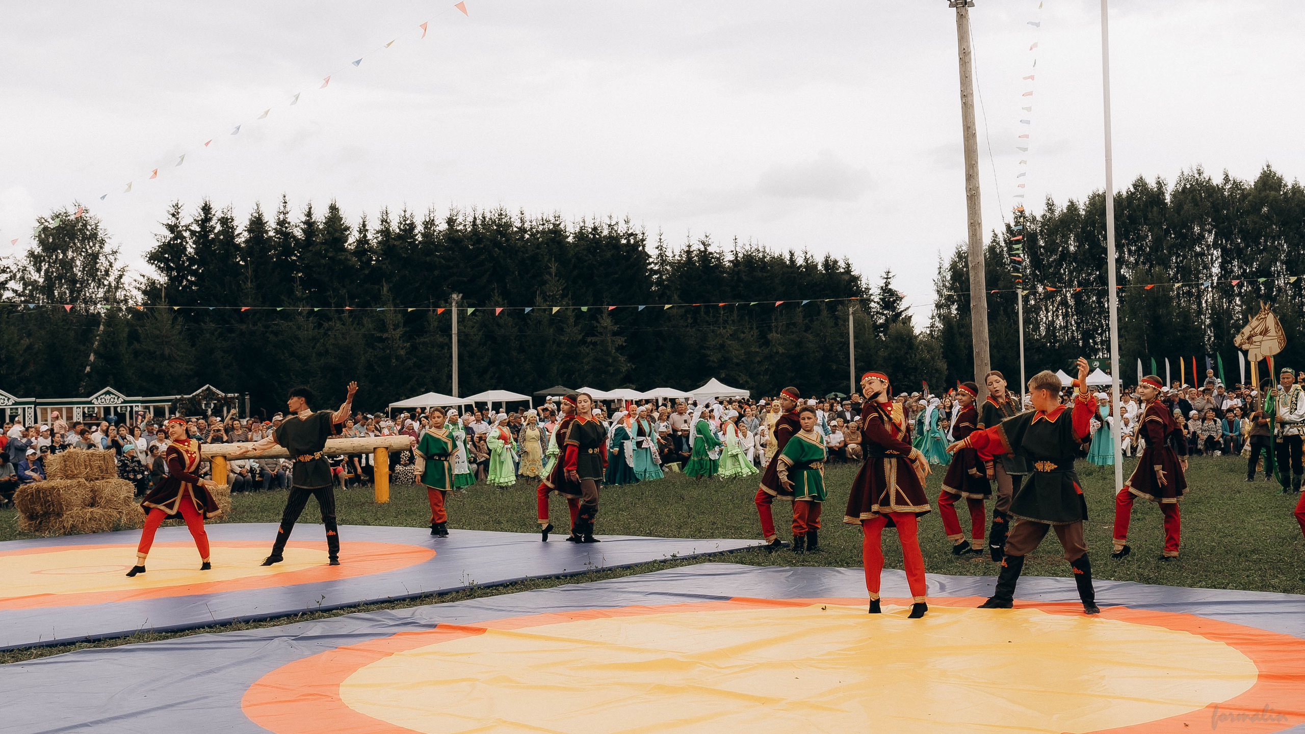 День Коня. Алиса Никитцова | Фотограф в Казани