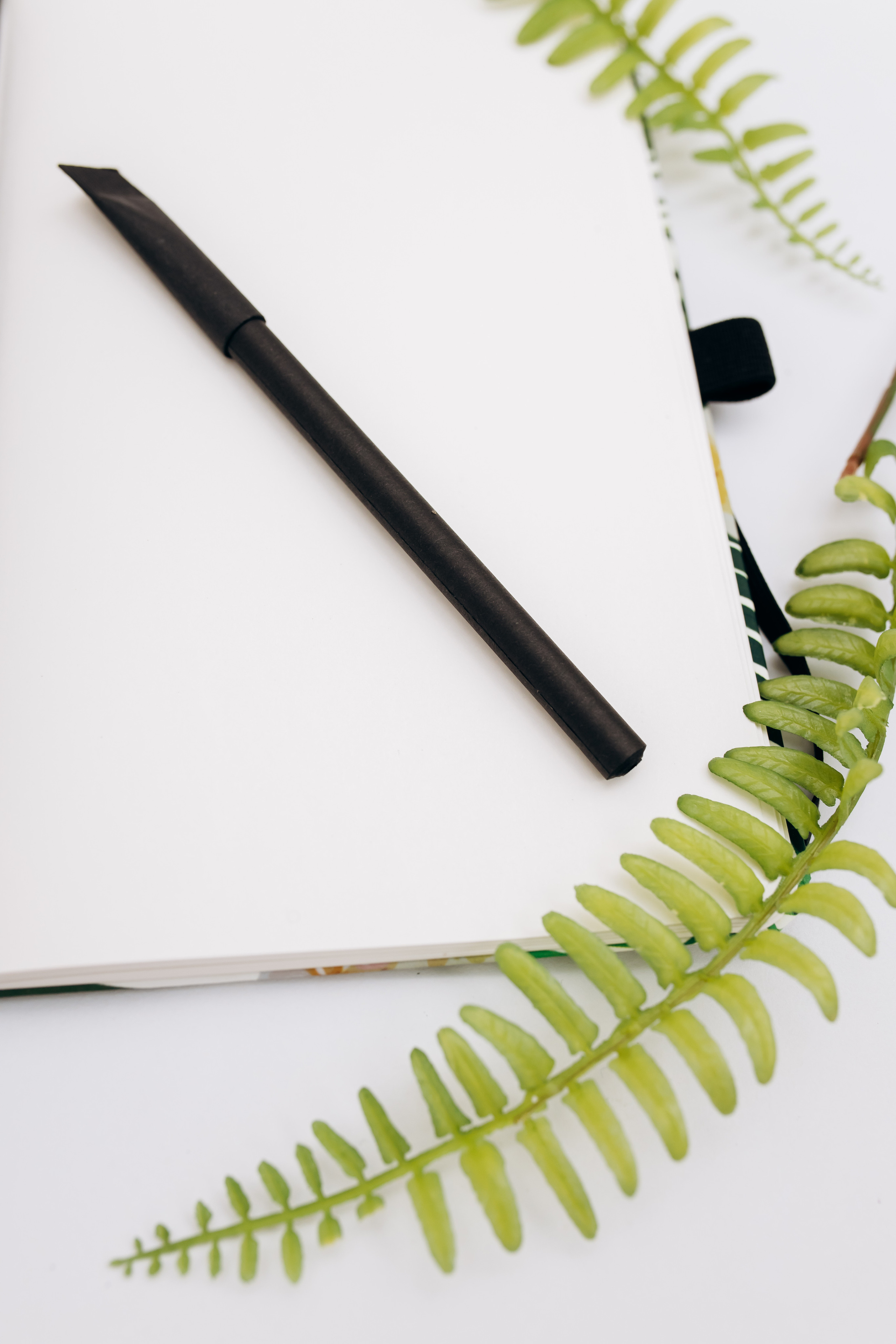 Предметная, каталог. Ваш универсальный фотограф Евгения Дунаевская