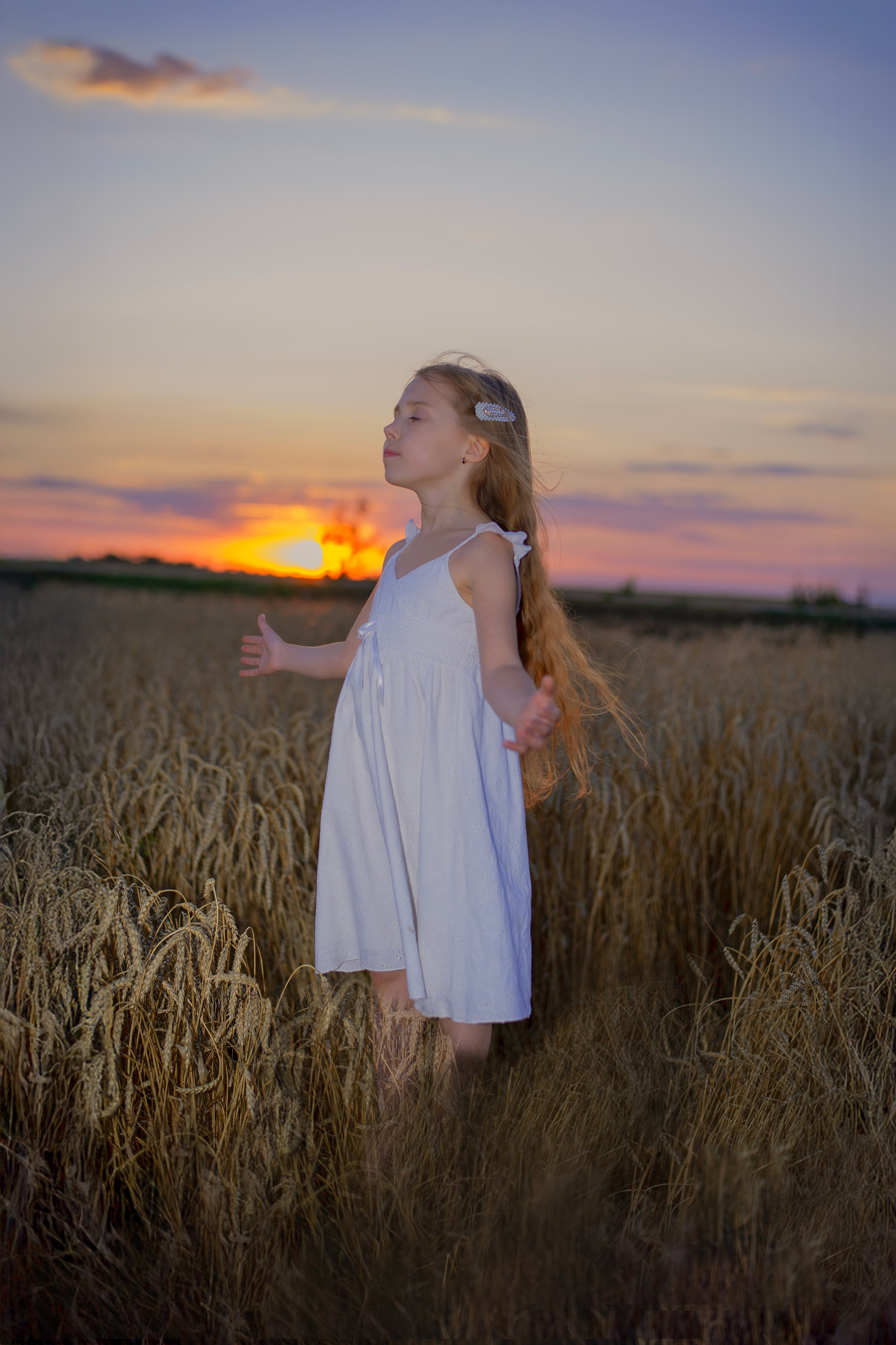 Пшеница. Главная