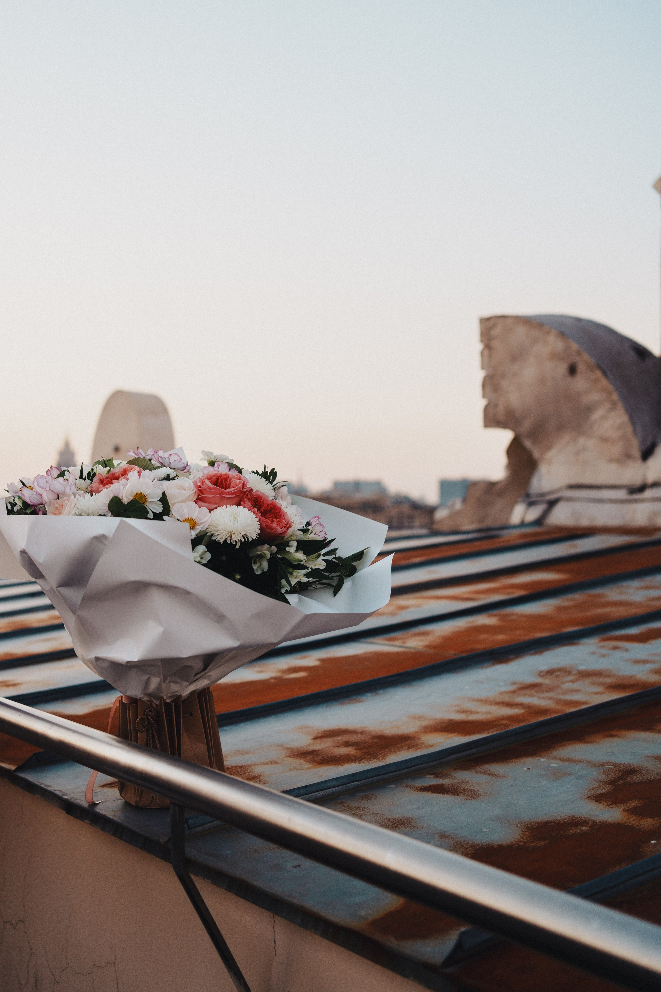 Выставка на крыше Парка Горького. Семейный и детский фотограф и видеограф в Москве, Серпухове и Тарусе Валерия Сорокина
