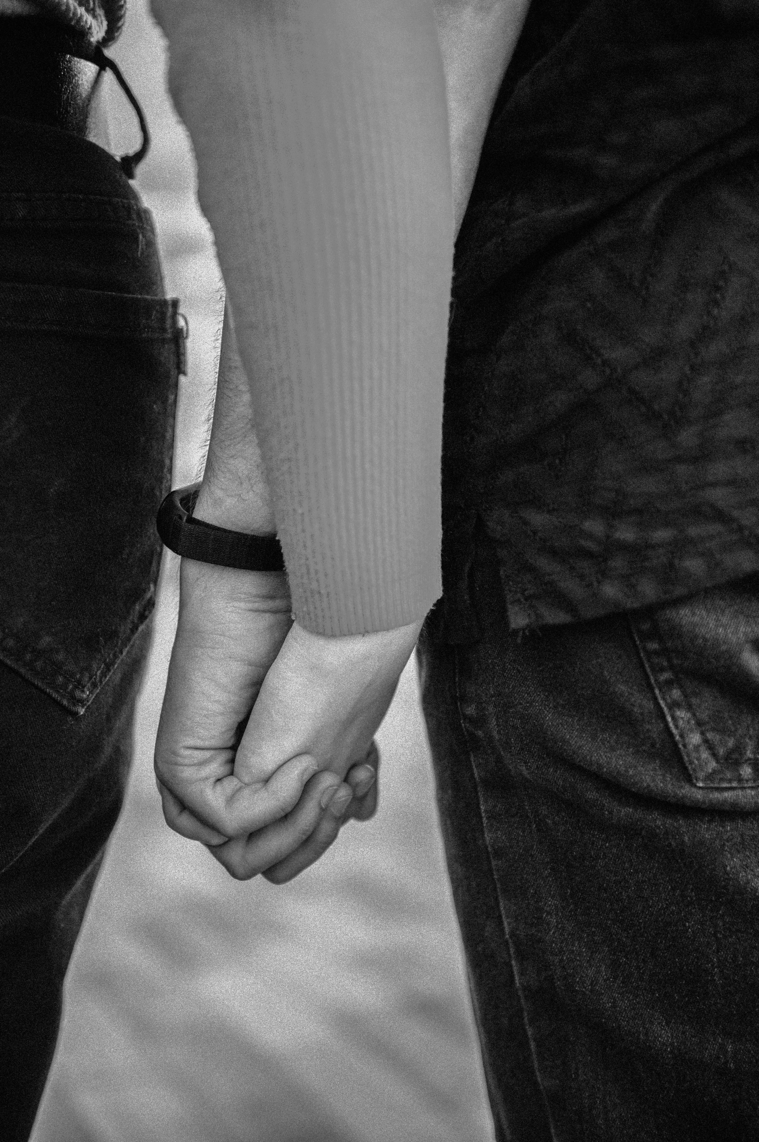 Лера, Илья и чихуахуа Наоми (Нижний Новгород, 2024). Анна Пушина, фотограф, Москва, Королев, Пушкино