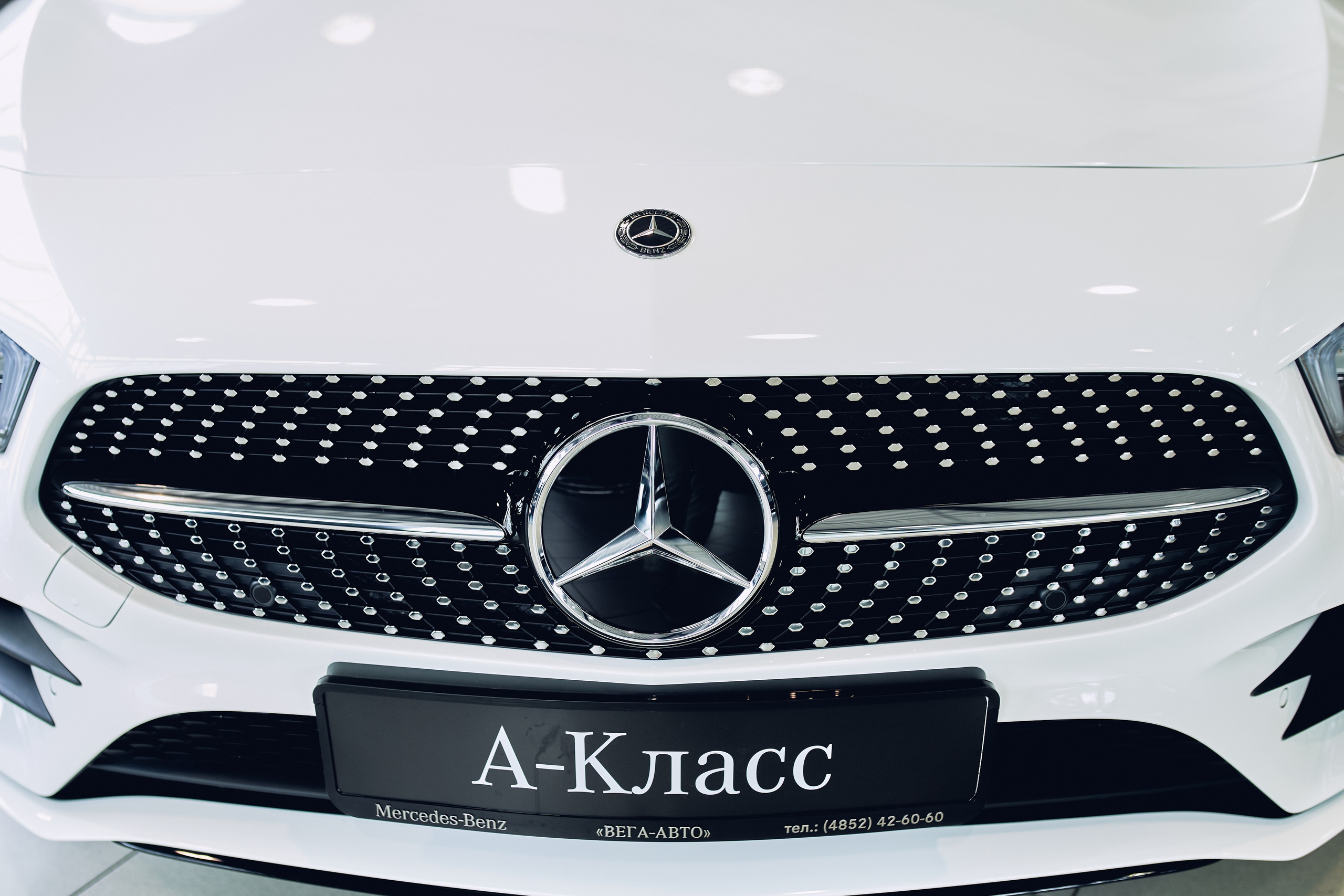 Mercedes. Фотограф в Сочи Катя Гончарова