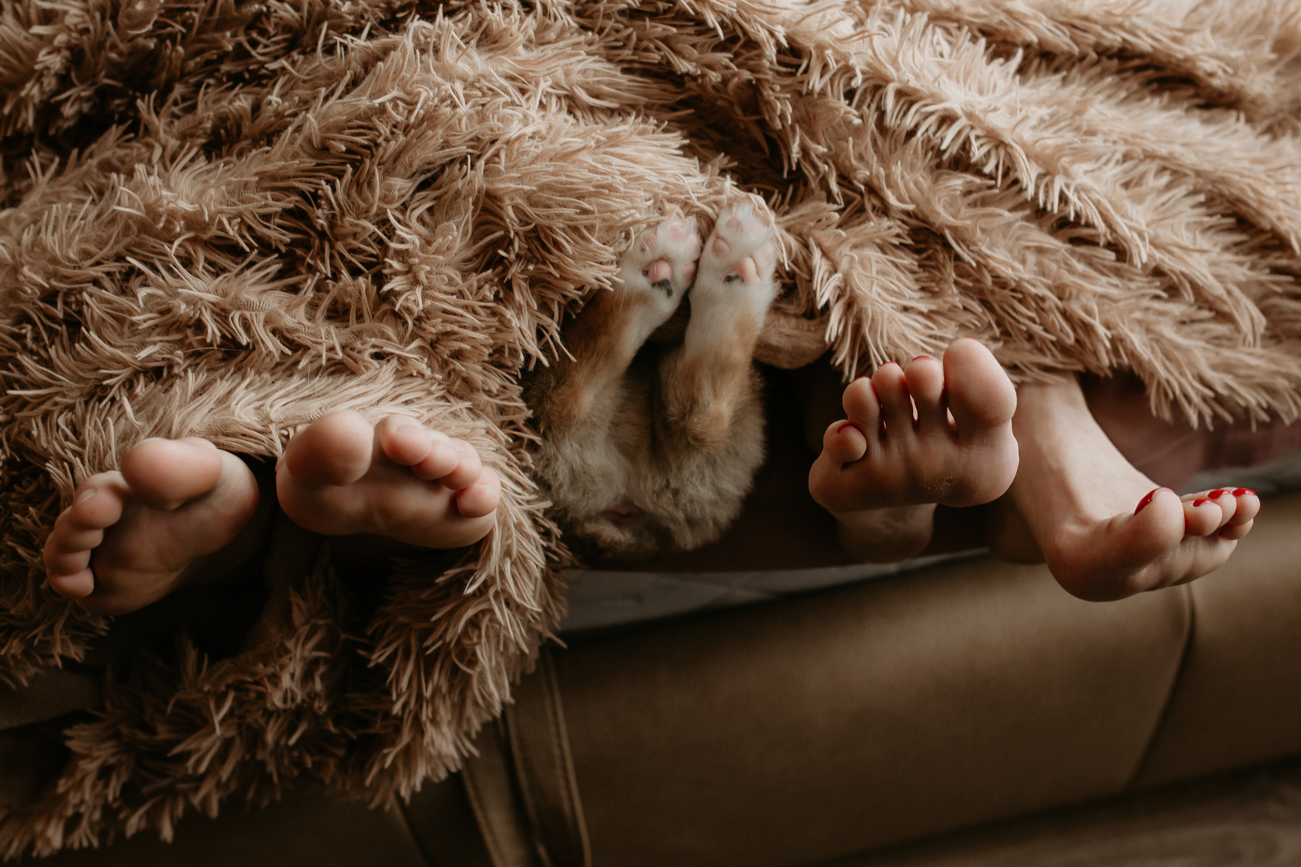 Егор и Лена + малыш Шелби. Свадебный фотограф Кирьянов Максим. Фотографирую в Москве, Коломне, Со