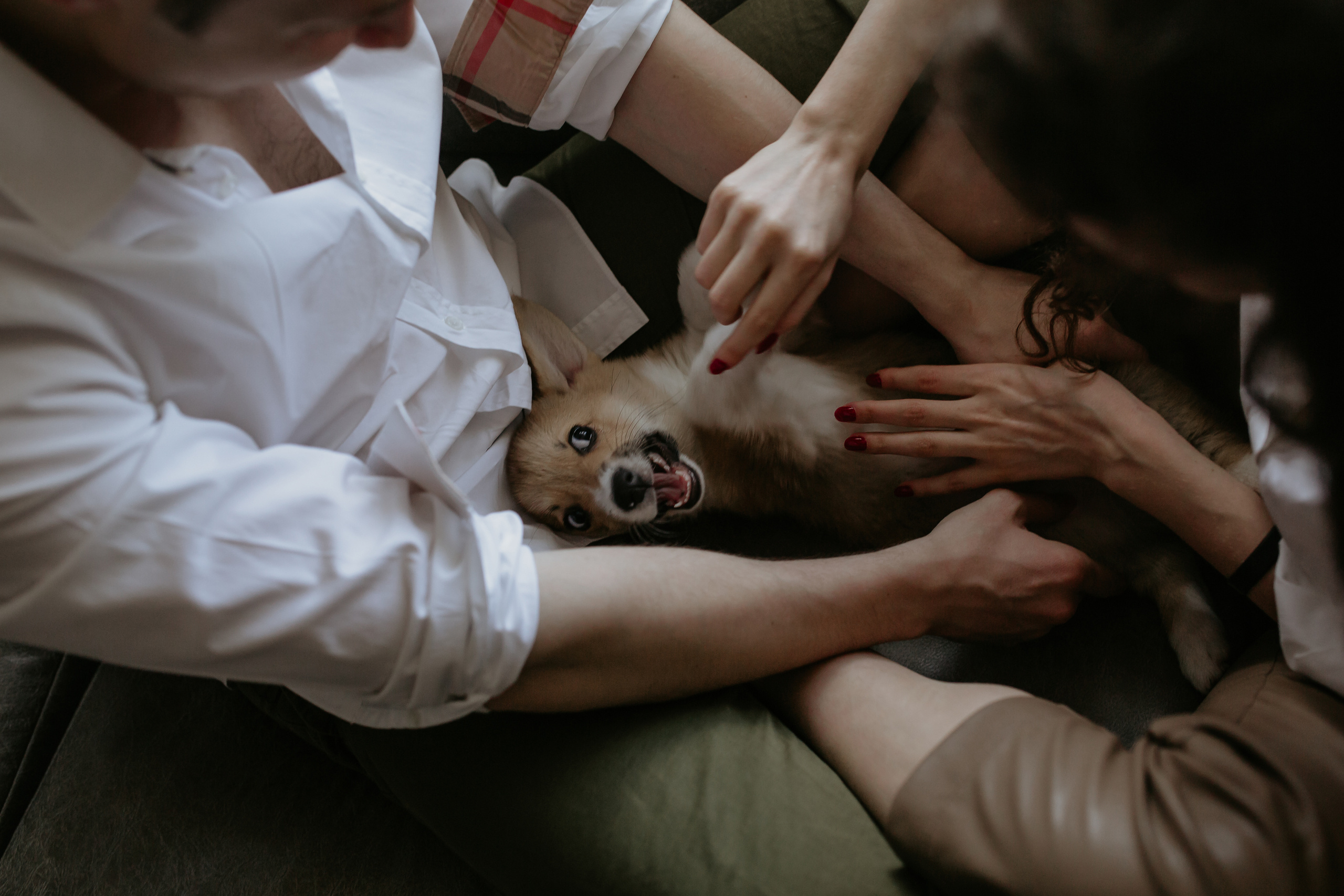 Егор и Лена + малыш Шелби. Свадебный фотограф Кирьянов Максим. Фотографирую в Москве, Коломне, Со