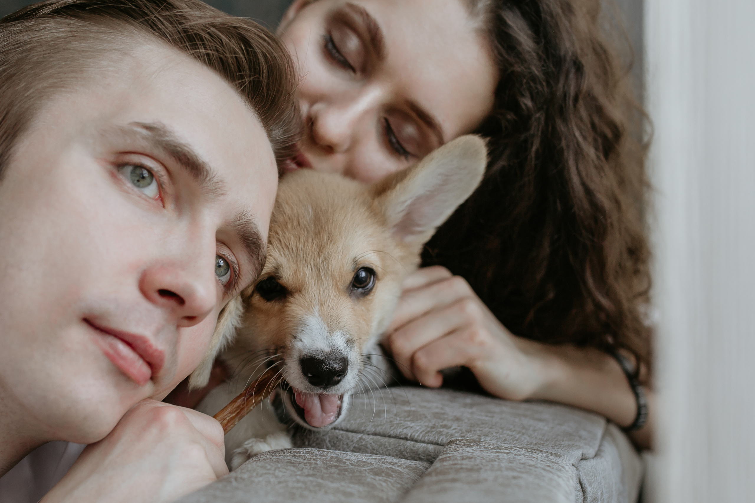 Егор и Лена + малыш Шелби. Свадебный фотограф Кирьянов Максим. Фотографирую в Москве, Коломне, Со