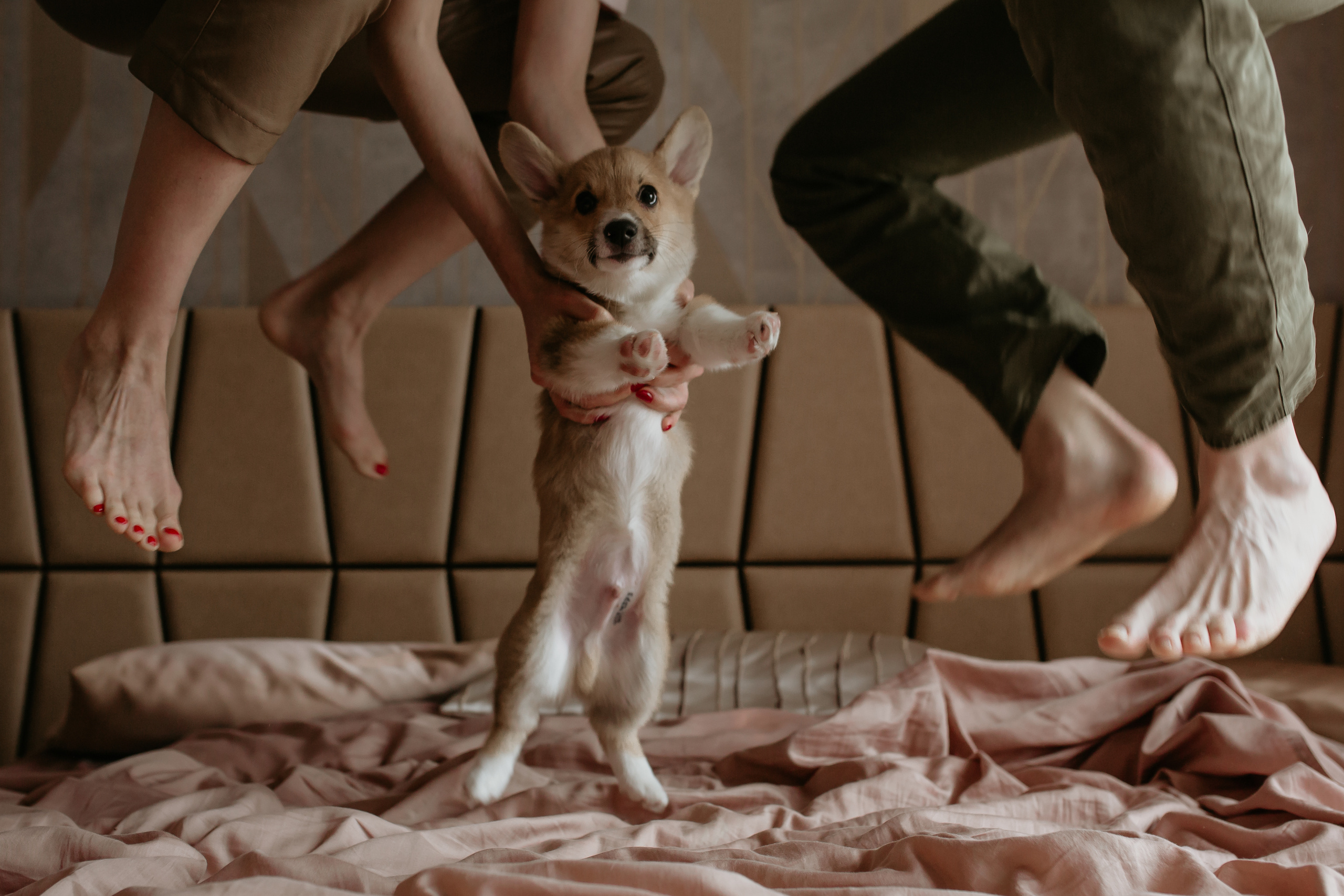 Егор и Лена + малыш Шелби. Свадебный фотограф Кирьянов Максим. Фотографирую в Москве, Коломне, Со