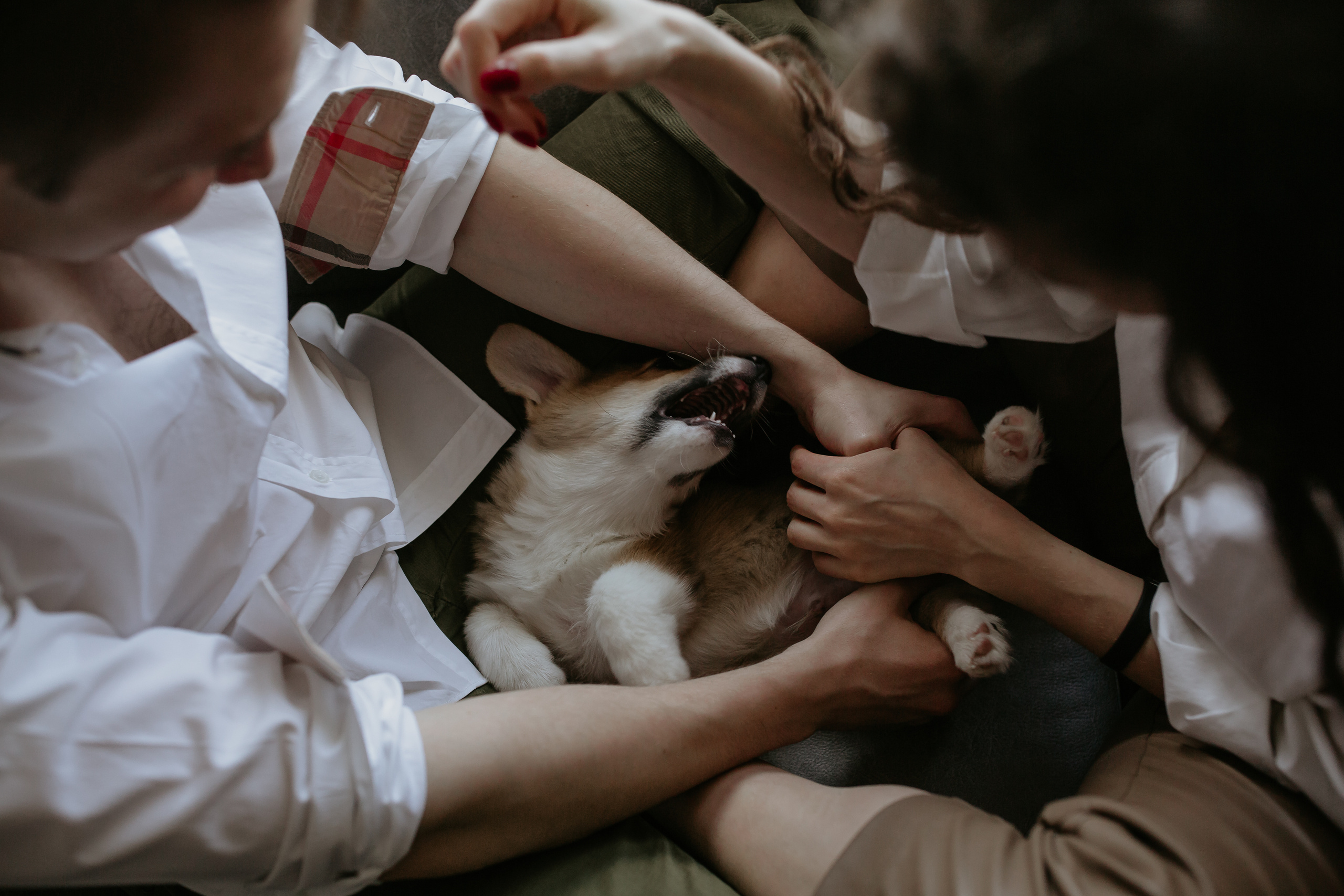 Егор и Лена + малыш Шелби. Свадебный фотограф Кирьянов Максим. Фотографирую в Москве, Коломне, Со