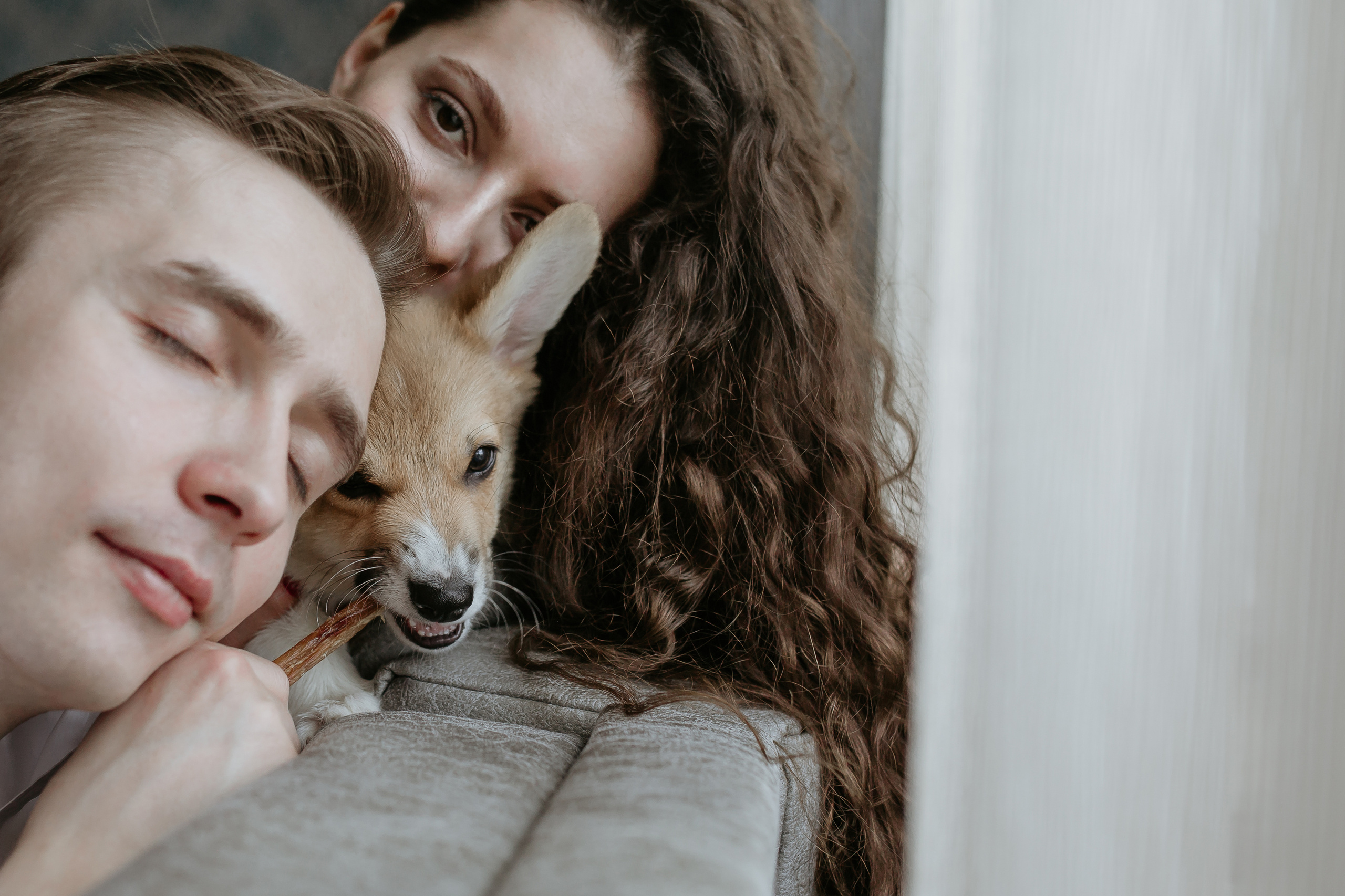 Егор и Лена + малыш Шелби. Свадебный фотограф Кирьянов Максим. Фотографирую в Москве, Коломне, Со