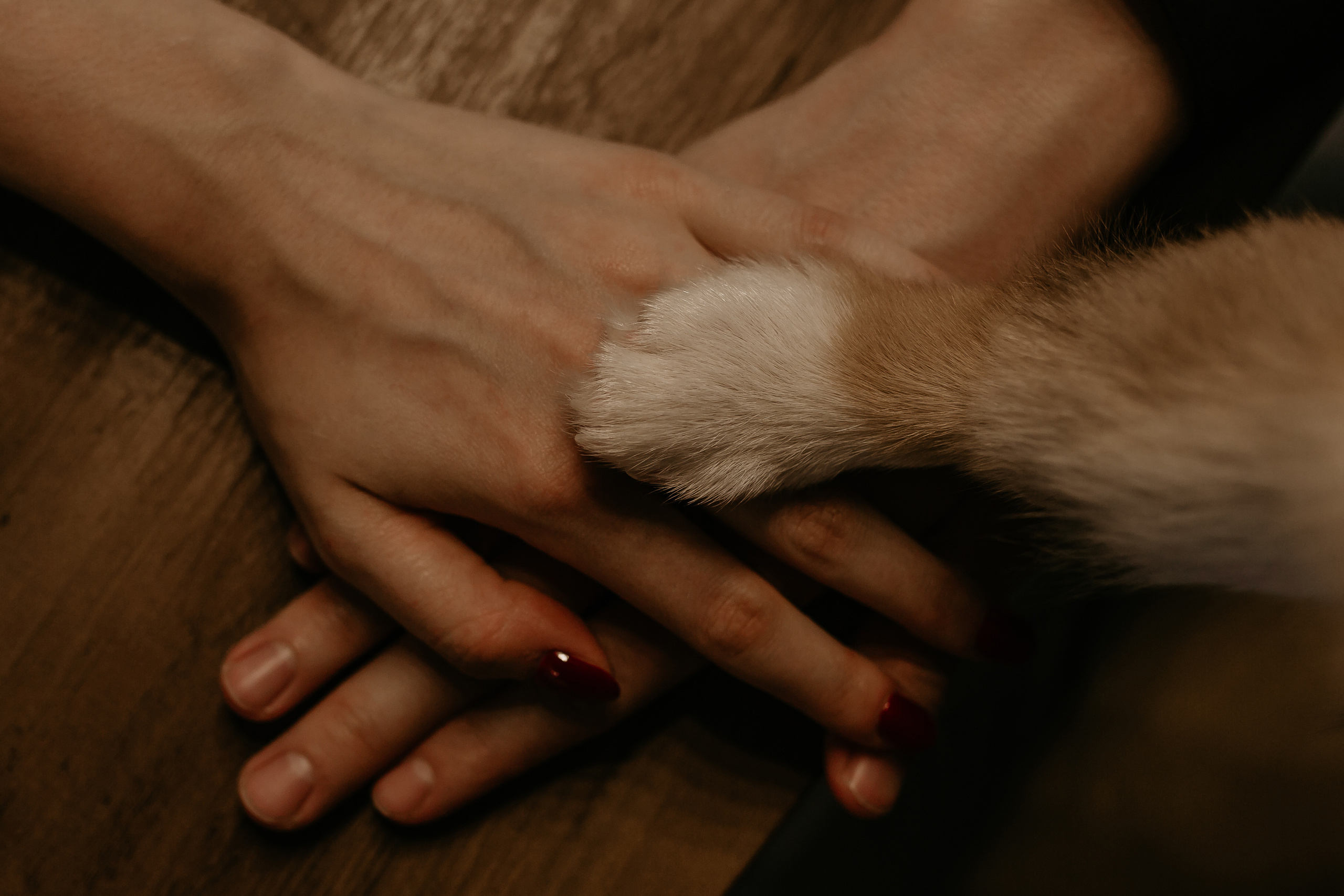 Егор и Лена + малыш Шелби. Свадебный фотограф Кирьянов Максим. Фотографирую в Москве, Коломне, Со