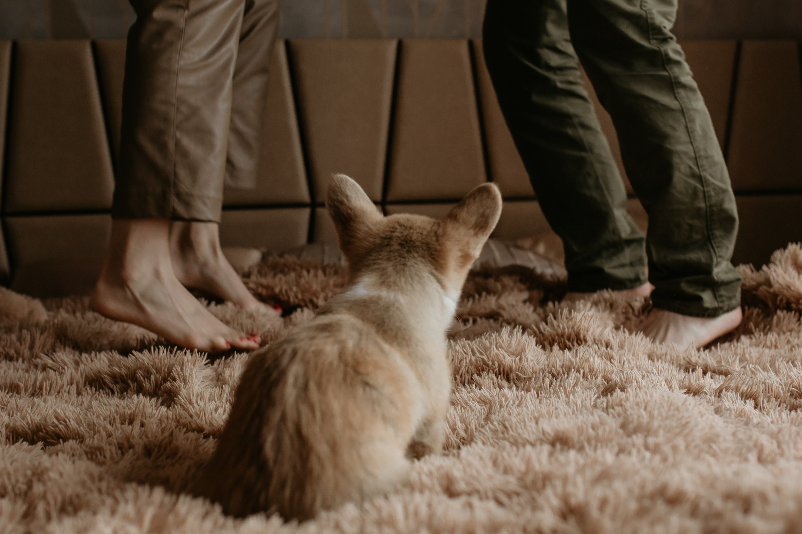 Егор и Лена + малыш Шелби. Свадебный фотограф Кирьянов Максим. Фотографирую в Москве, Коломне, Со