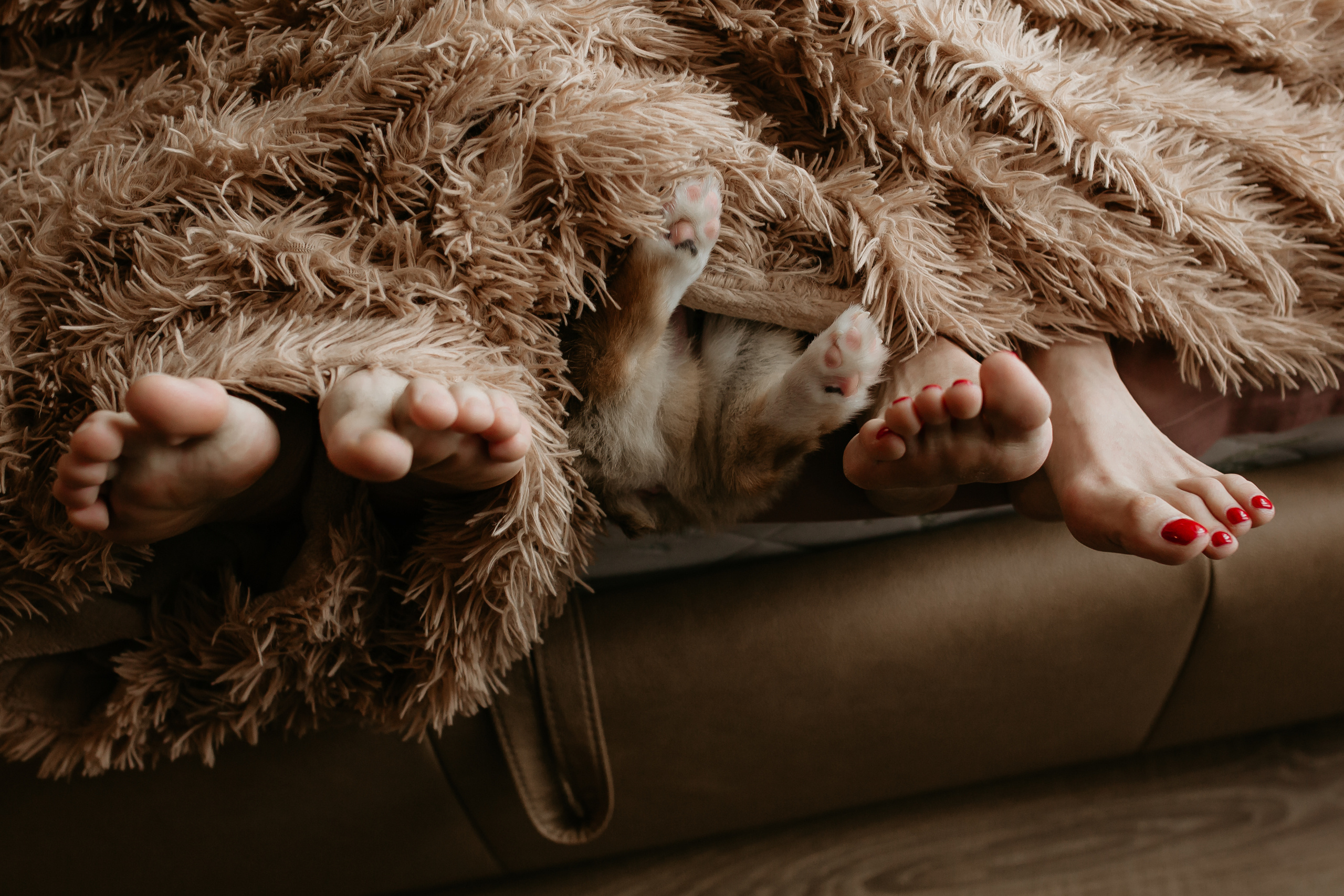 Егор и Лена + малыш Шелби. Свадебный фотограф Кирьянов Максим. Фотографирую в Москве, Коломне, Со