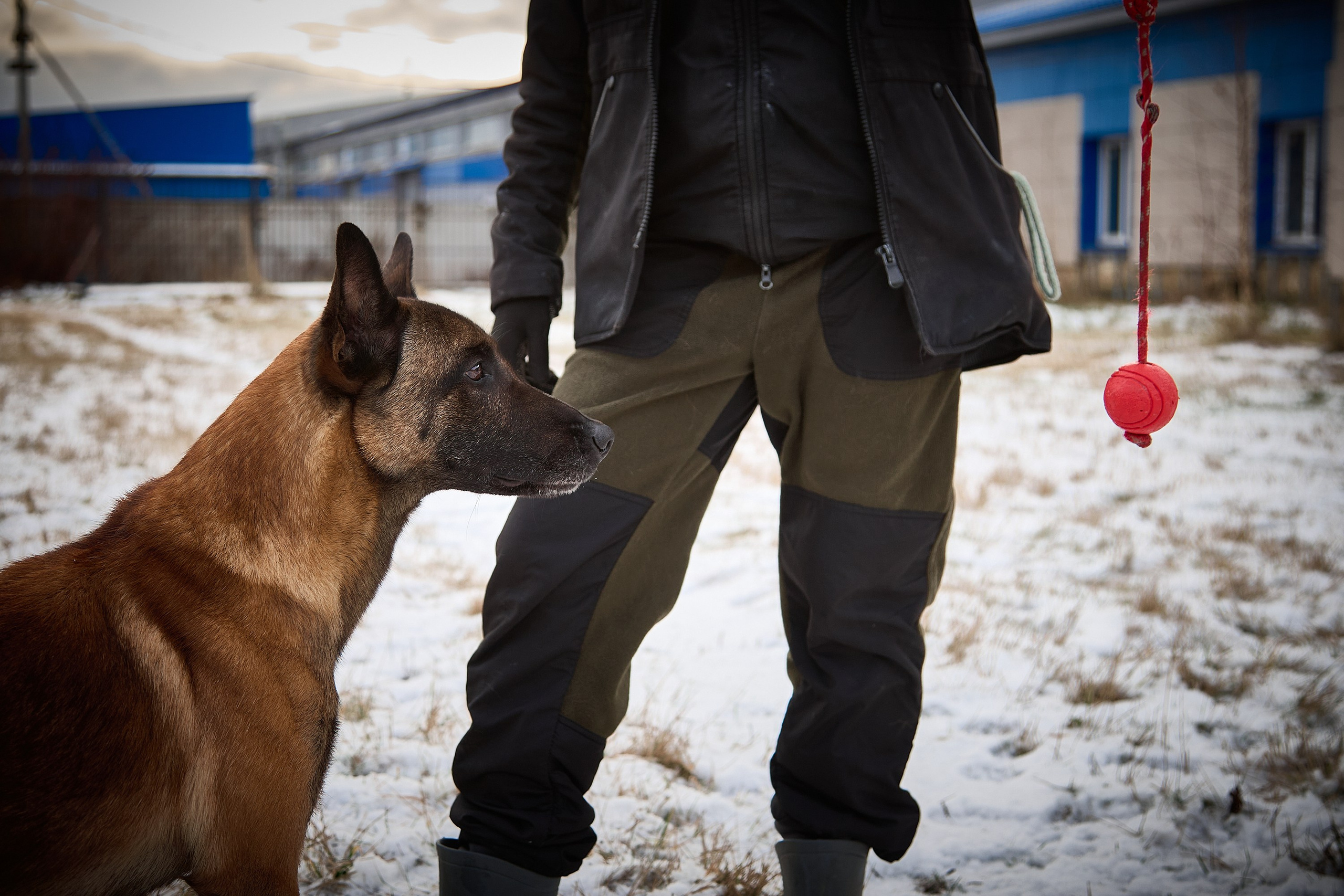 Юниор Профи 2025. Портретный фотограф Евгений Денисов