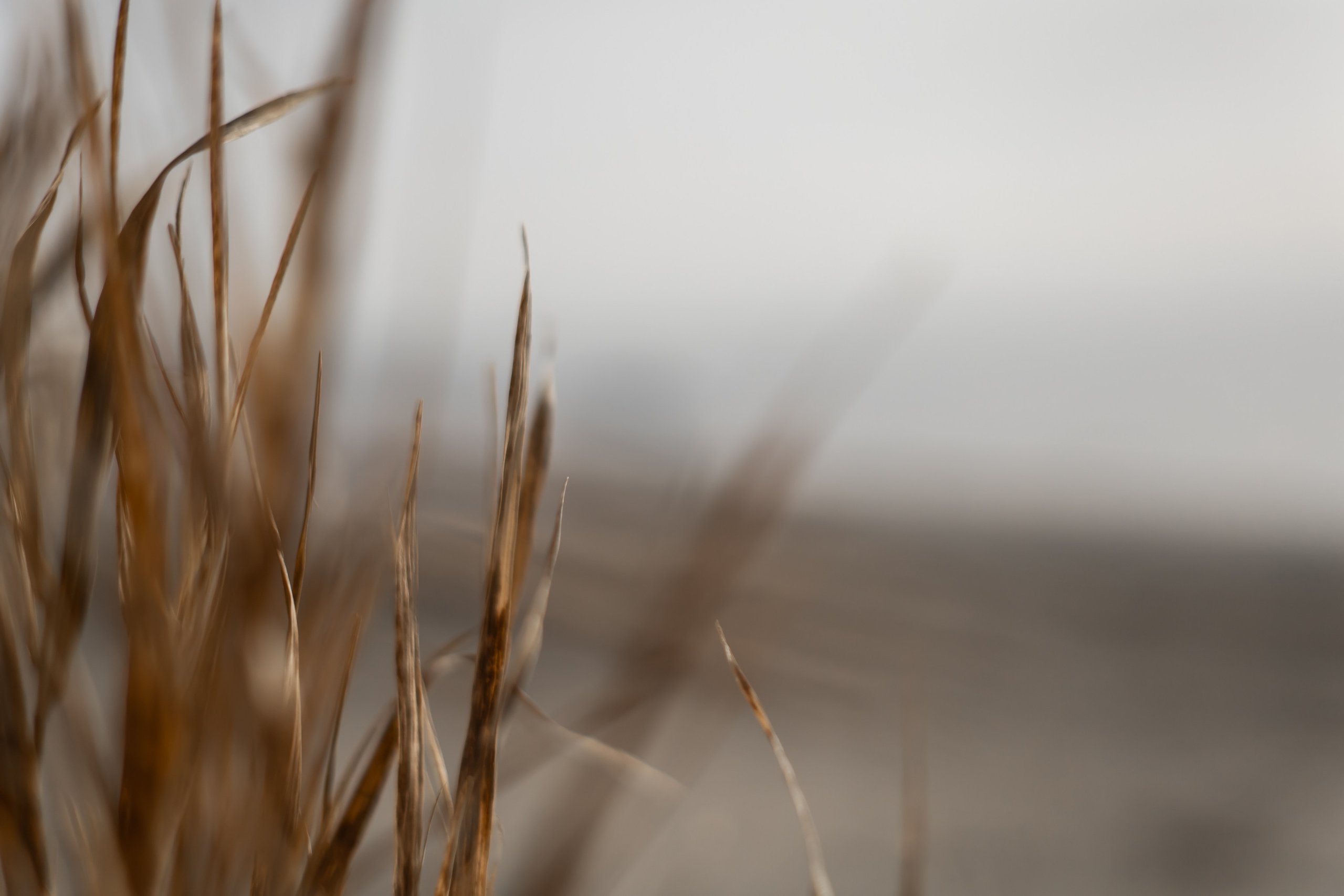 ИГОРЬ. Фотограф Элла Ефимова