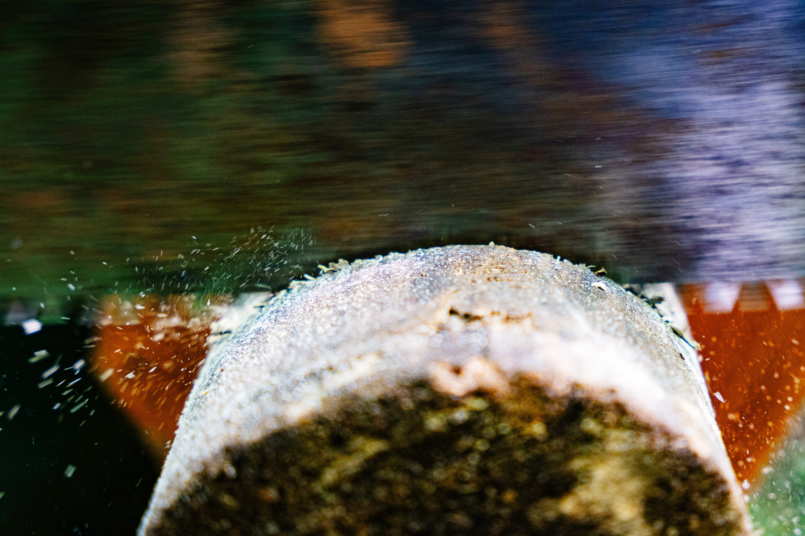 Портфолио репортажных фотосъемок. Репортажный и свадебный фотограф Алексей Полячек