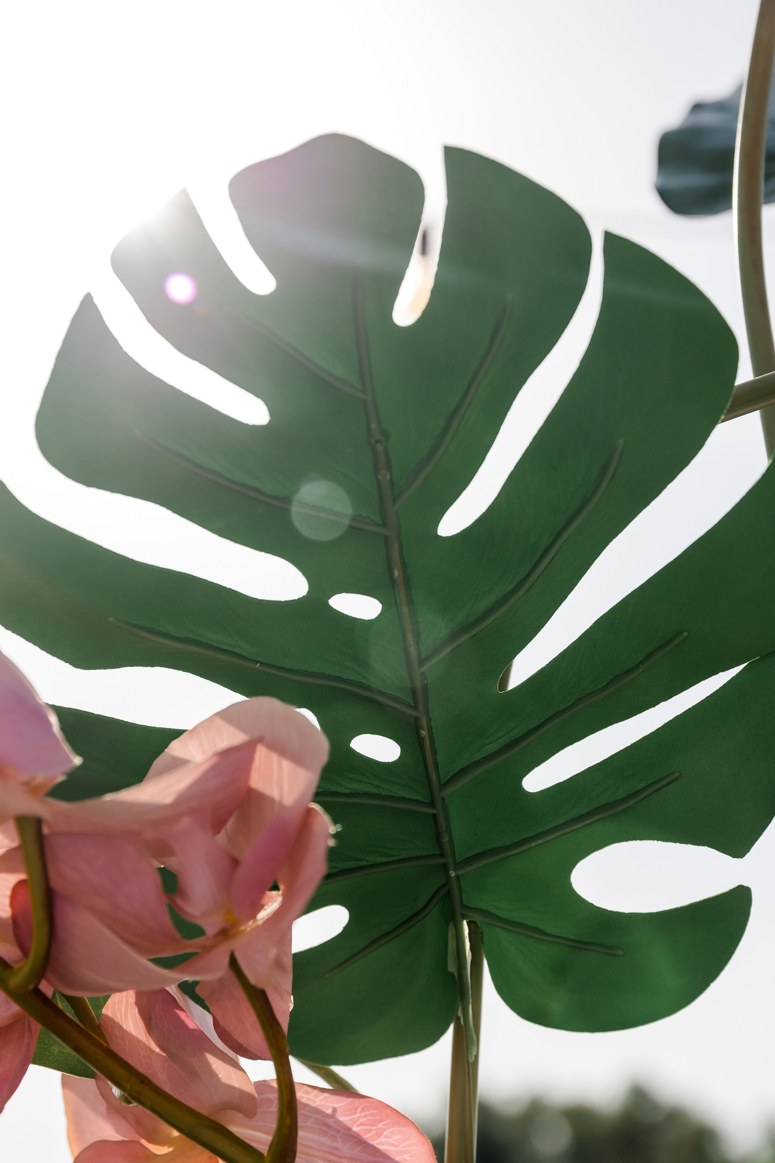 Coral Travel (презентация). Свадебный и семейный фотограф Динар Гильмутдинов