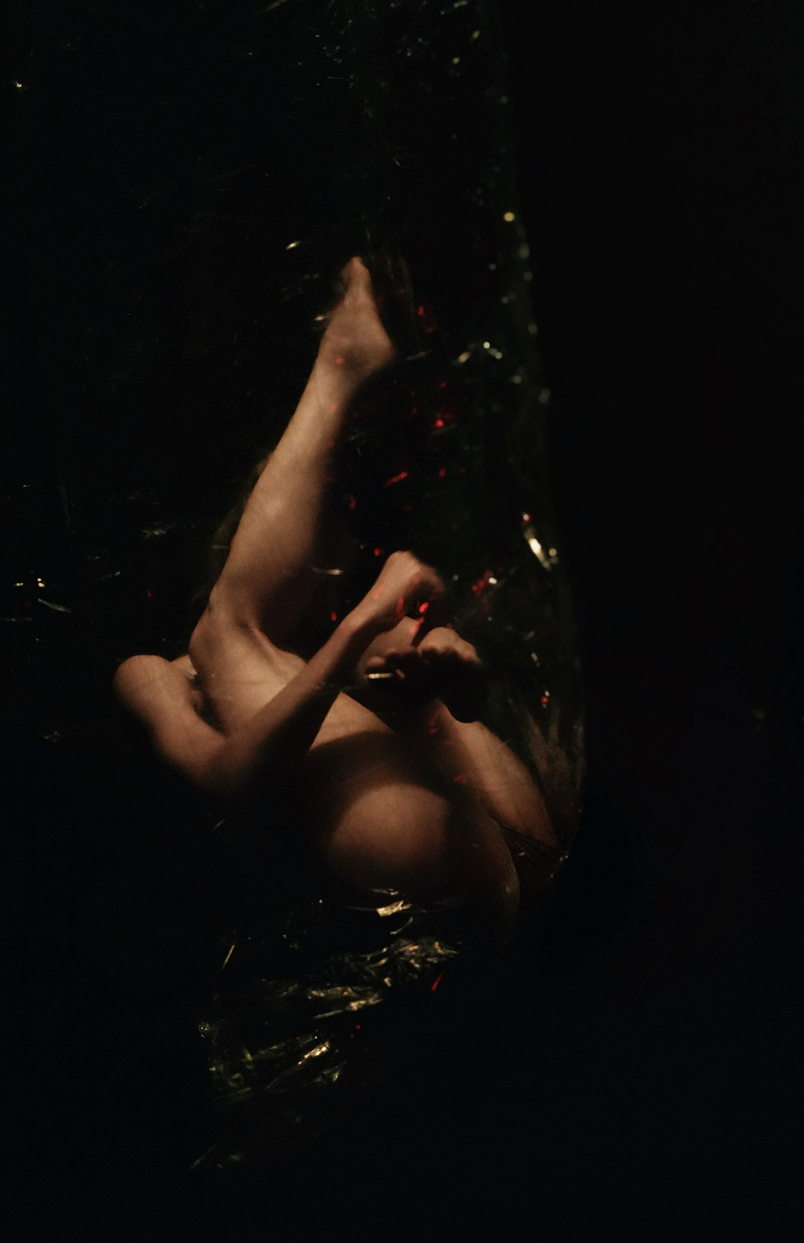 Dasha. Photographinya from St. Petersburg Nastya Schumann