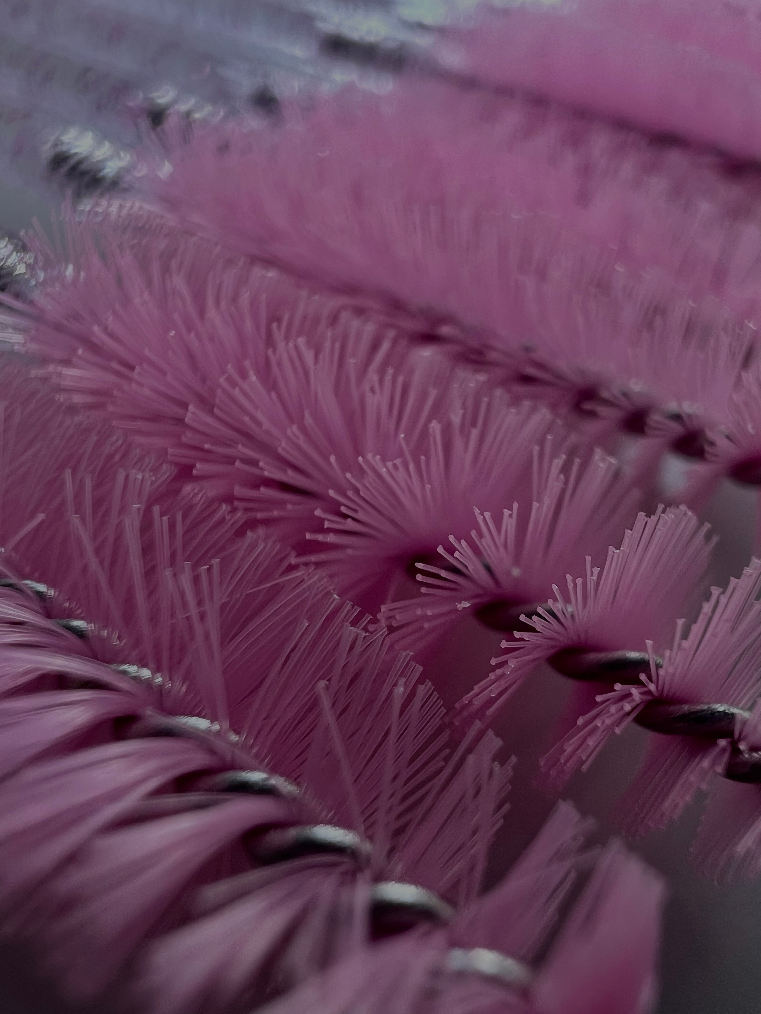 Контент для мастера бровиста, мобильная съемка. Фотограф в Москве Татьяна Драгунова