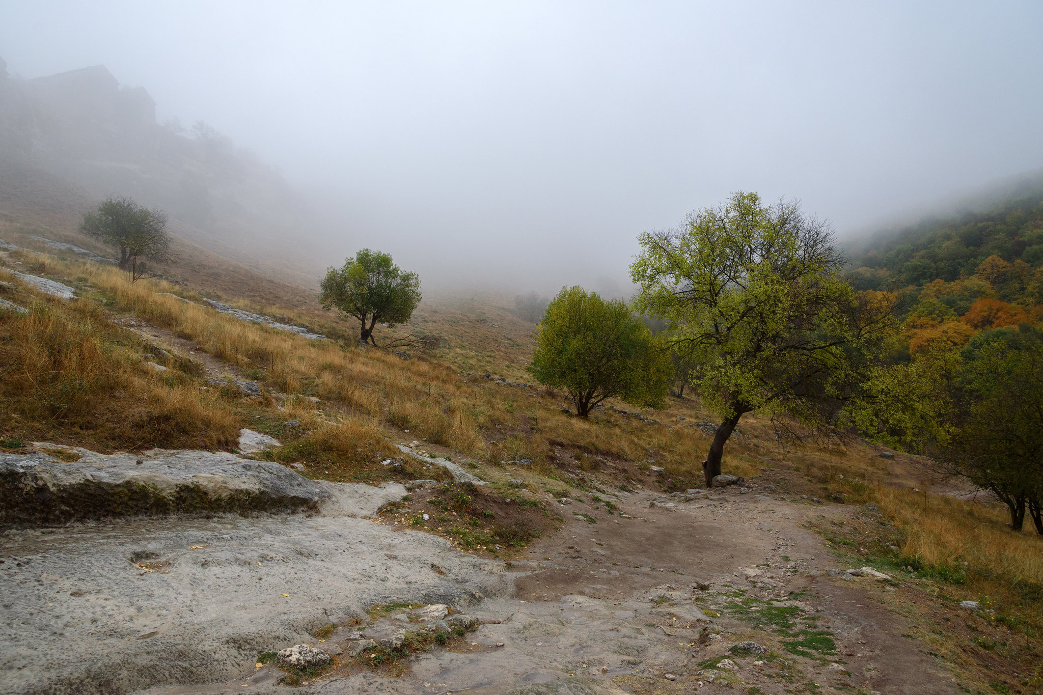 Профессиональный фотограф в Иваново — Александр Макушин