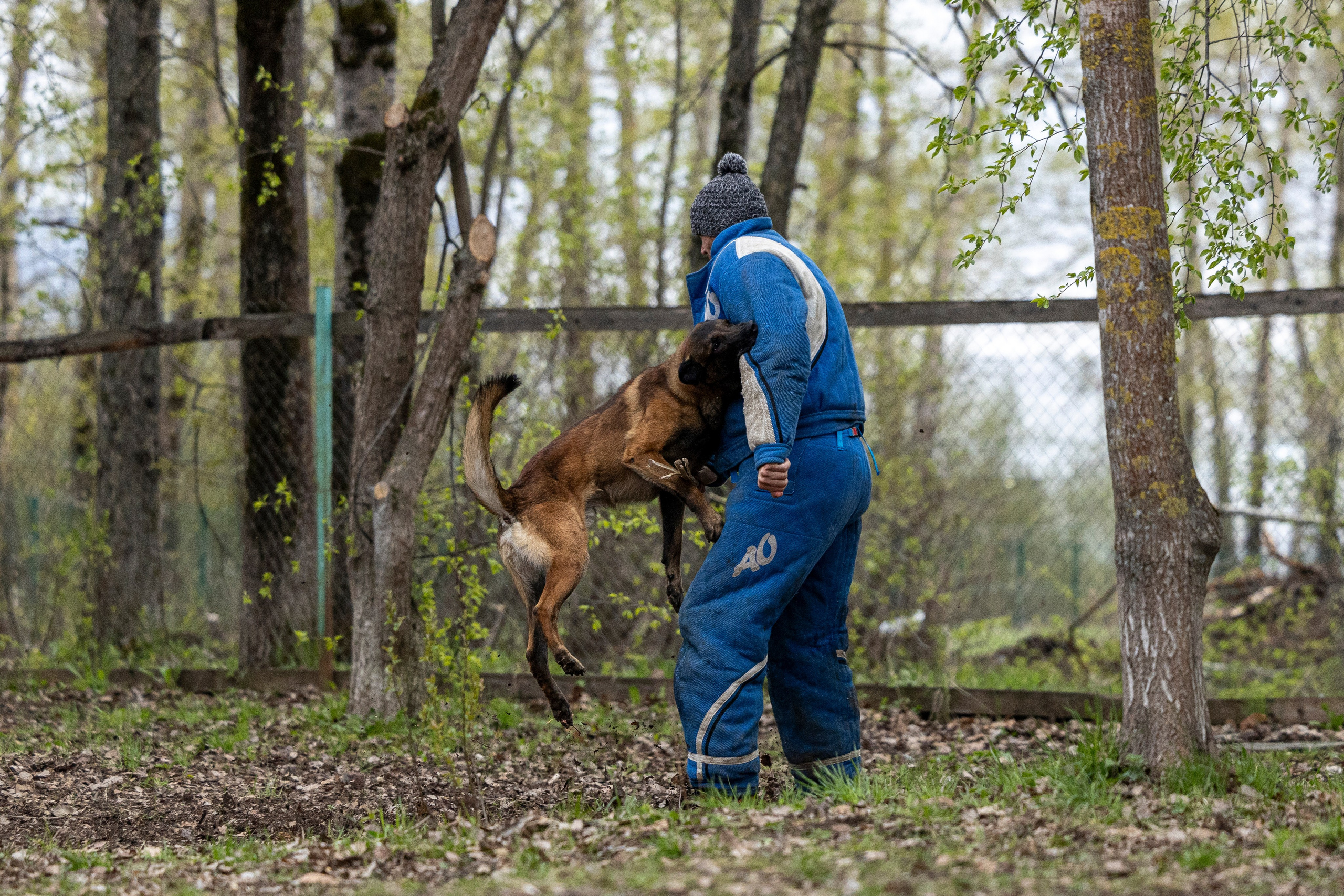 Квалификационные состязания по мондьорингу г. Вологда 11.05.24. Фотограф-анималист Анна Маринич
