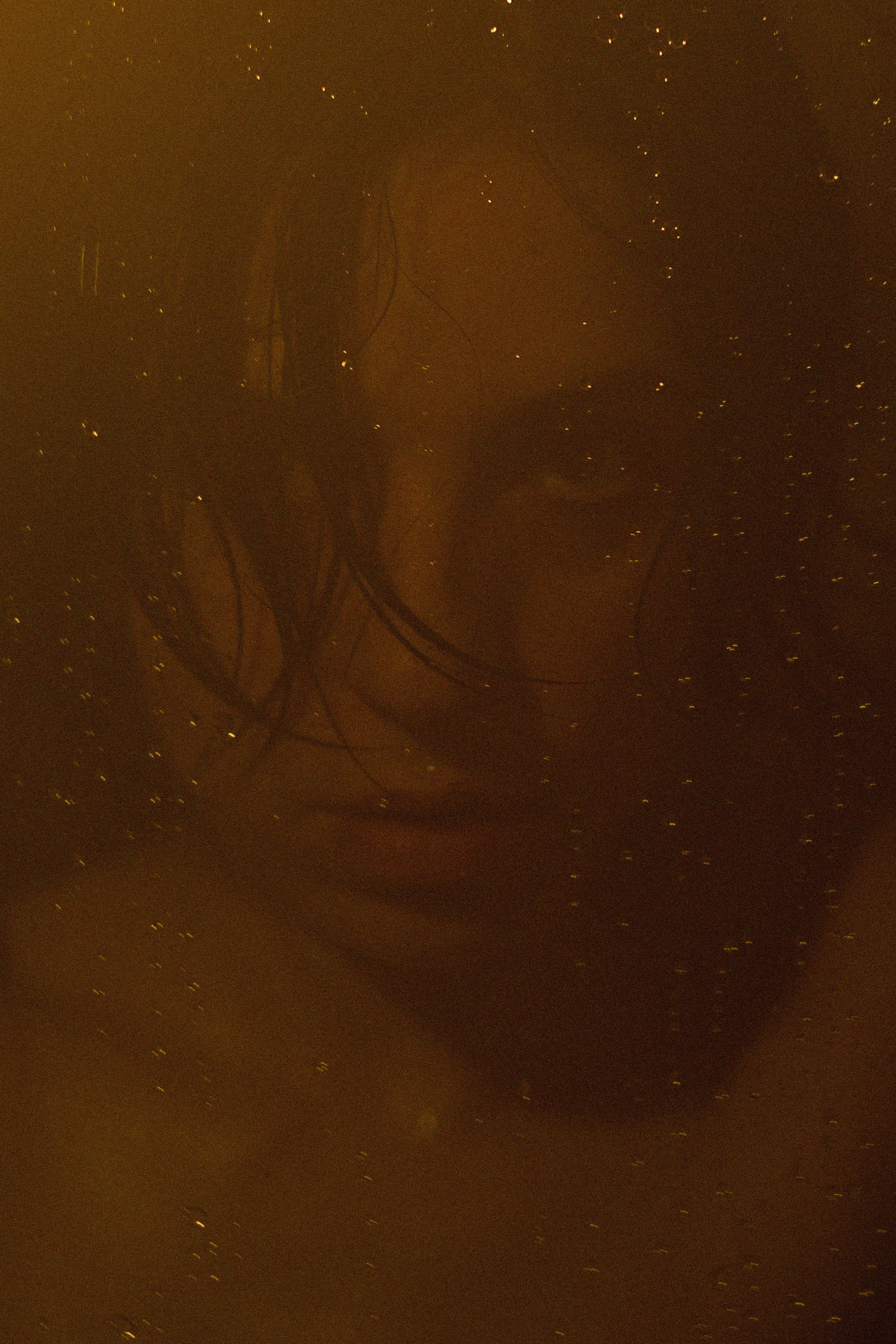 S H A P E. Свадебный фотограф Колесников Антон