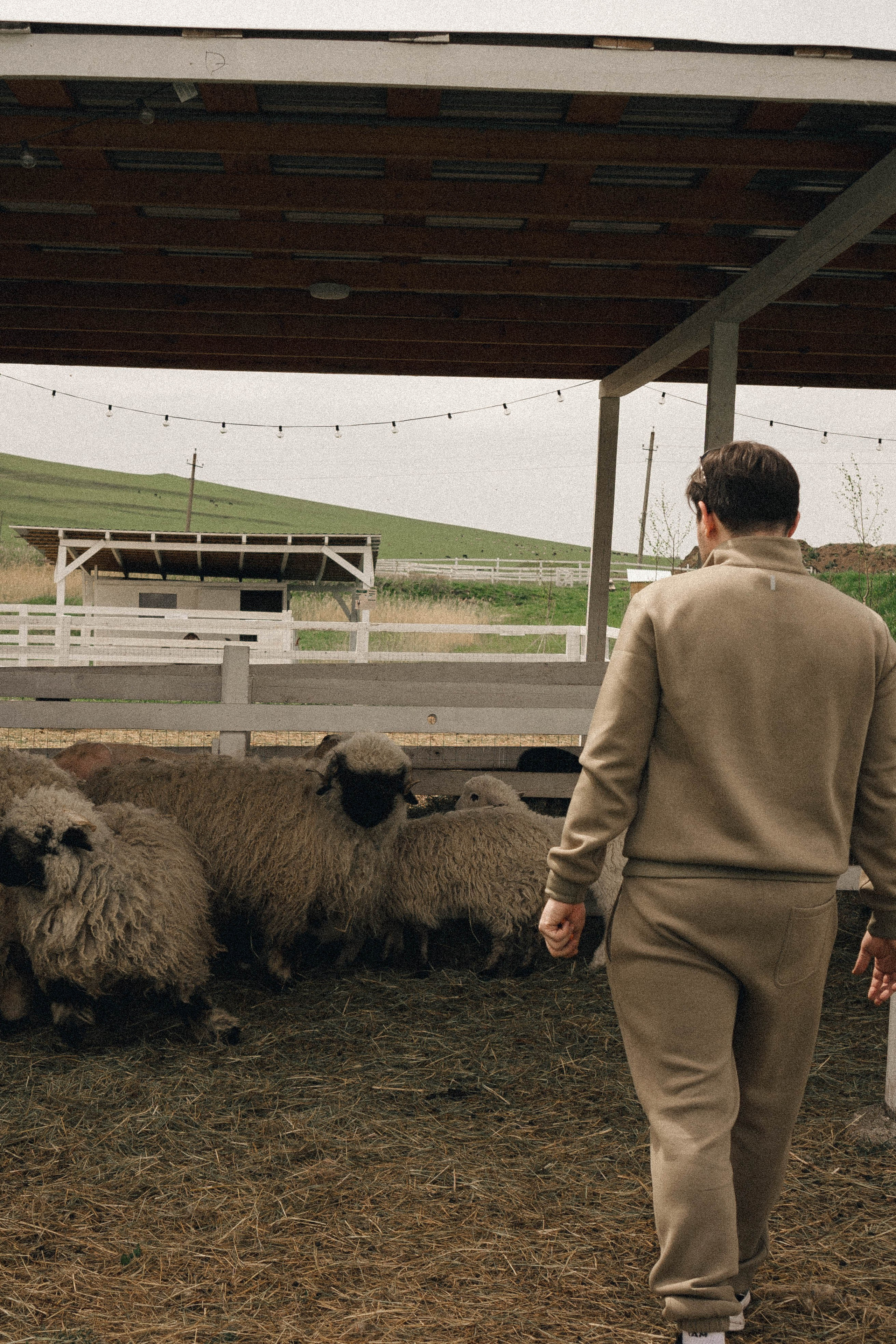 Ферма Альпак. Профессиональный фотограф, Санкт-Петербург — Виктория Богомолова
