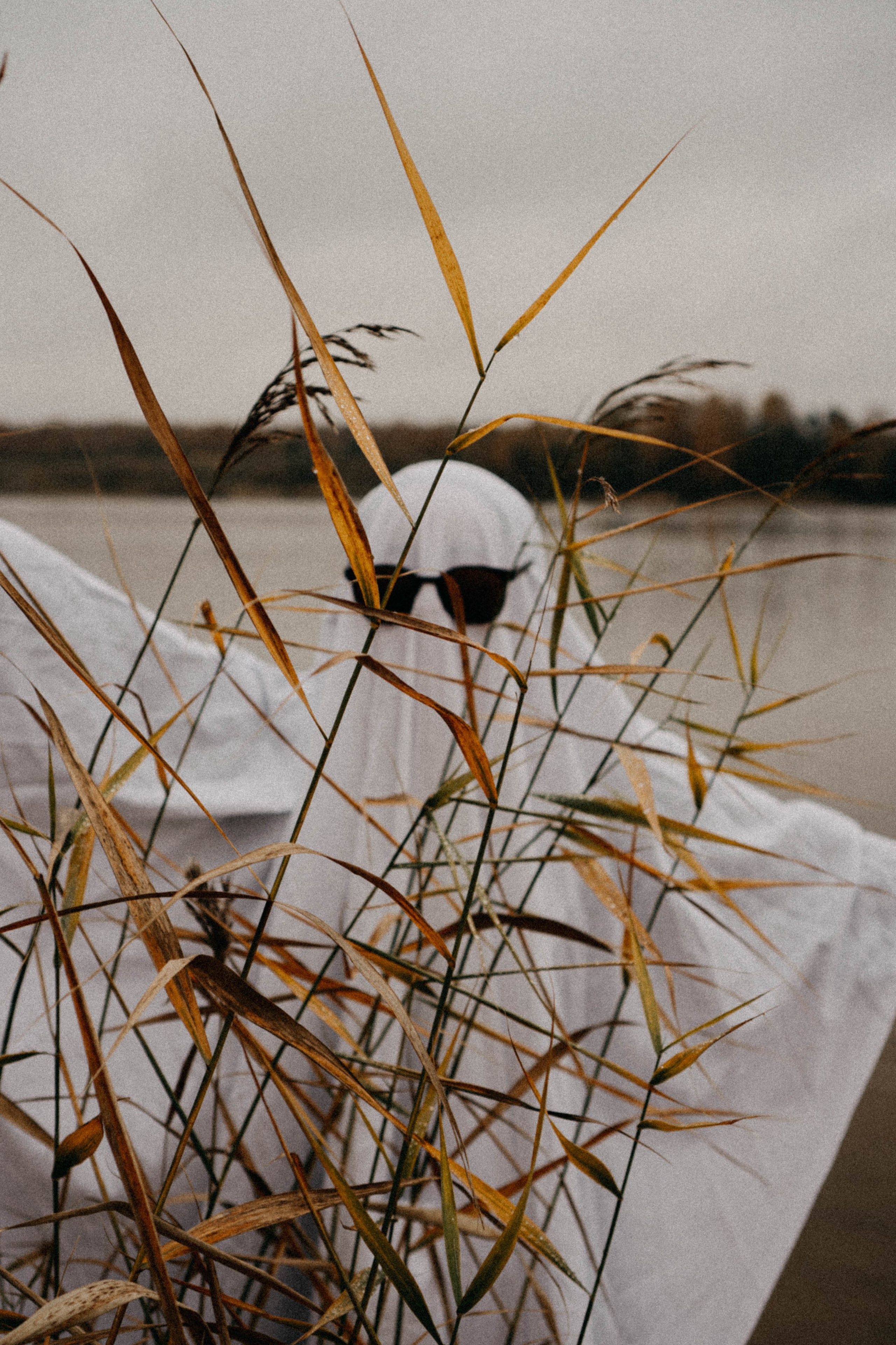 Осеняя. Профессиональный фотограф, Санкт-Петербург — Виктория Богомолова