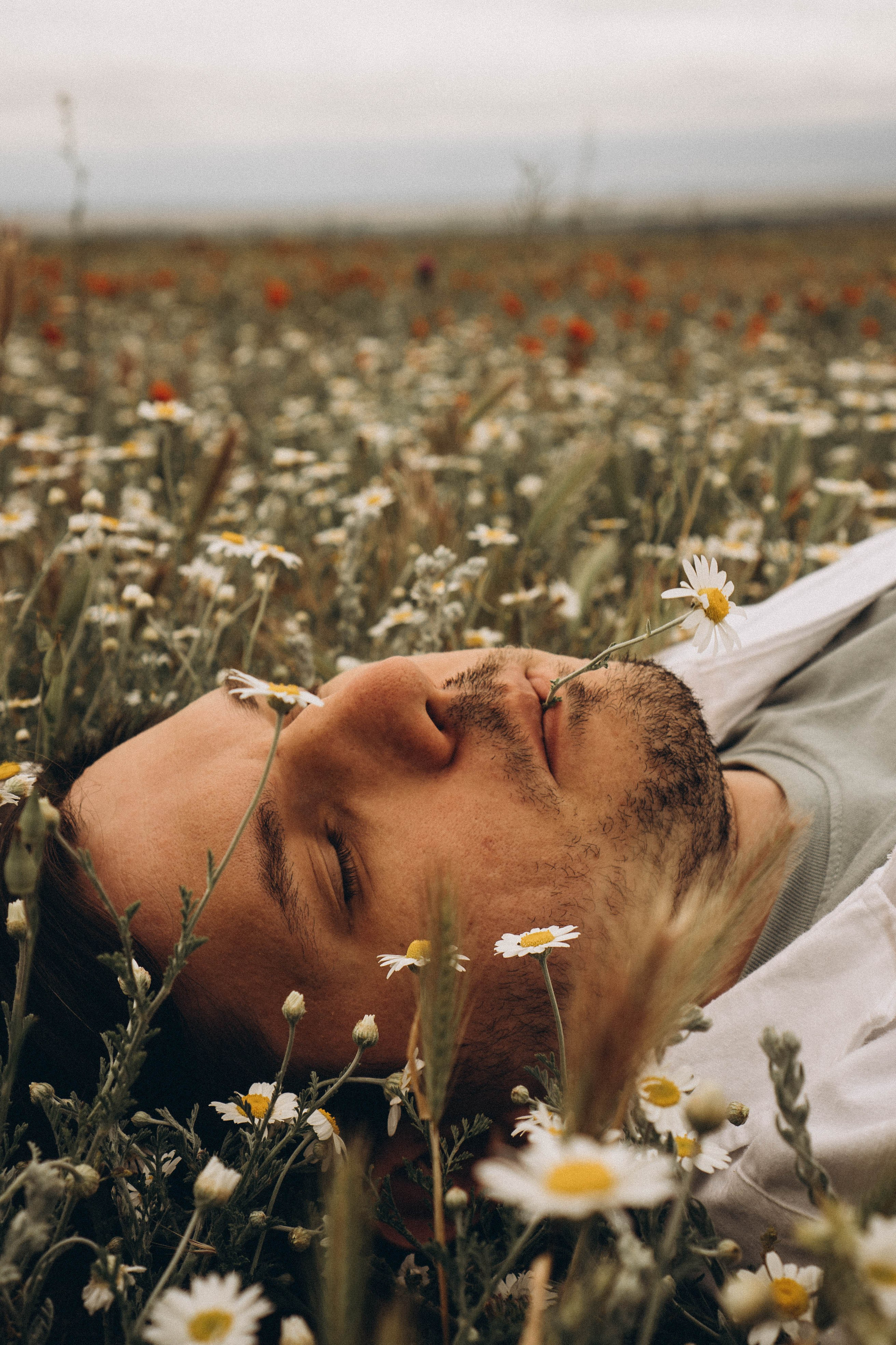 Маки. Профессиональный фотограф, Санкт-Петербург — Виктория Богомолова