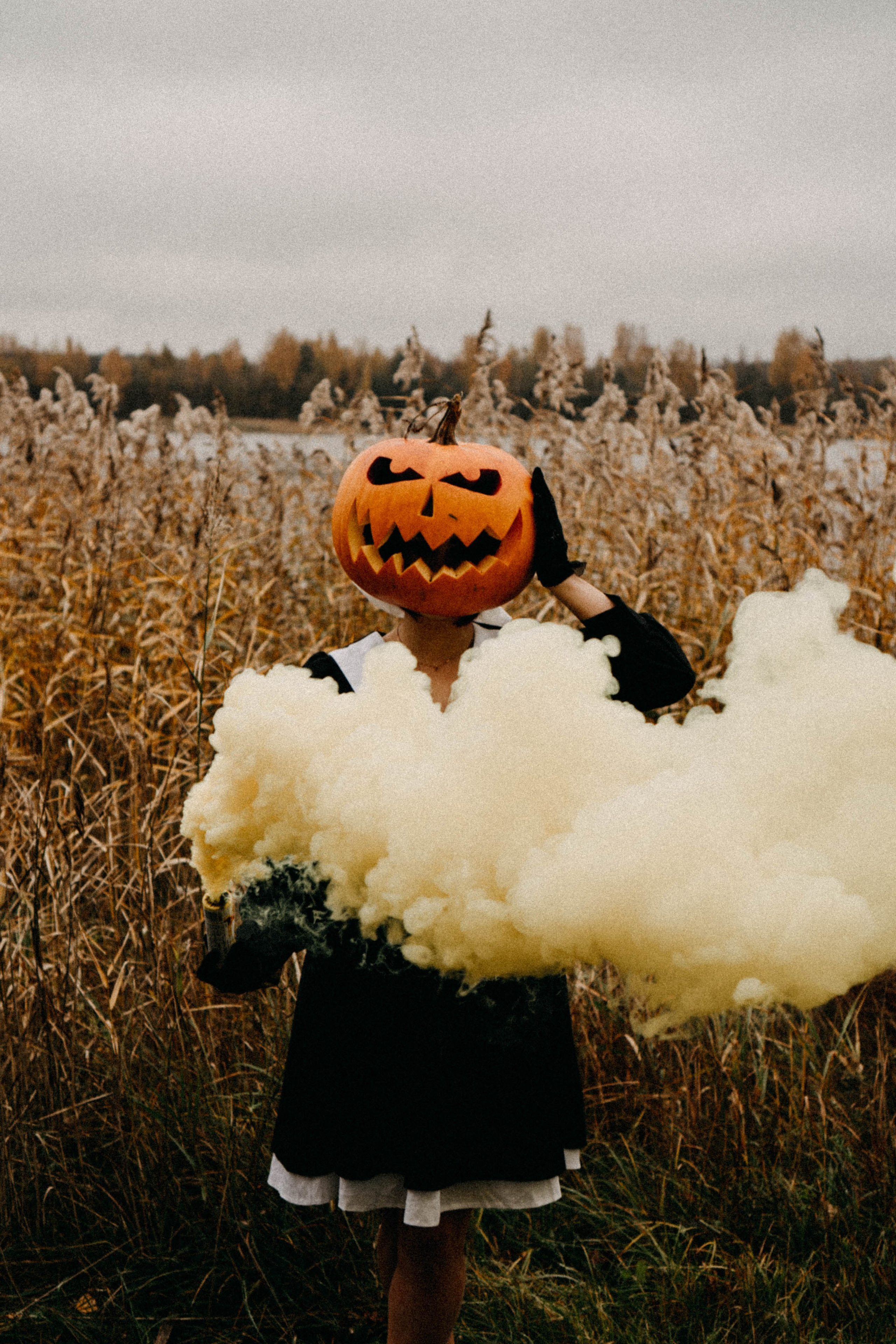 Осеняя. Профессиональный фотограф, Санкт-Петербург — Виктория Богомолова