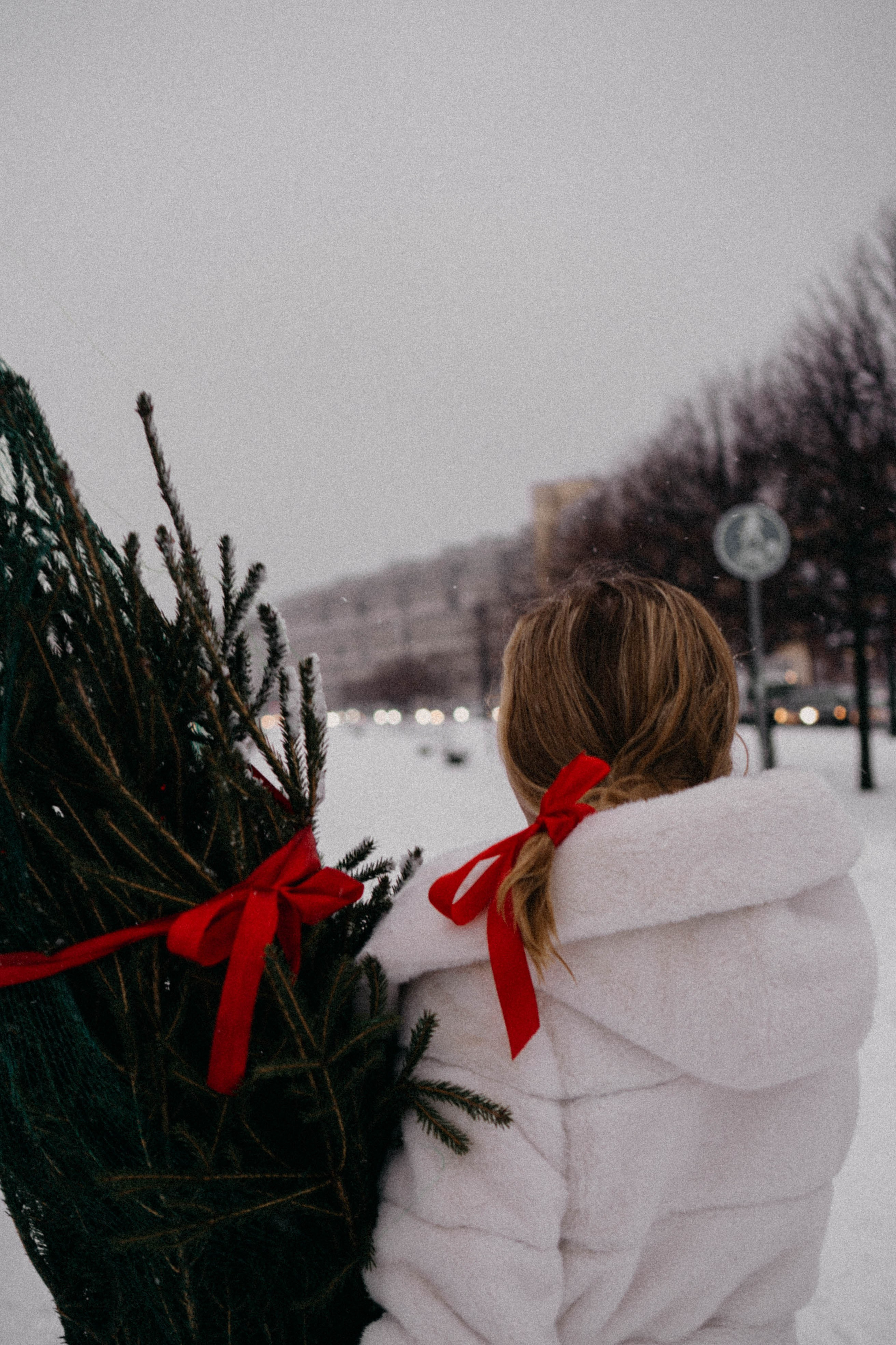 Новогодняя. Профессиональный фотограф, Санкт-Петербург — Виктория Богомолова