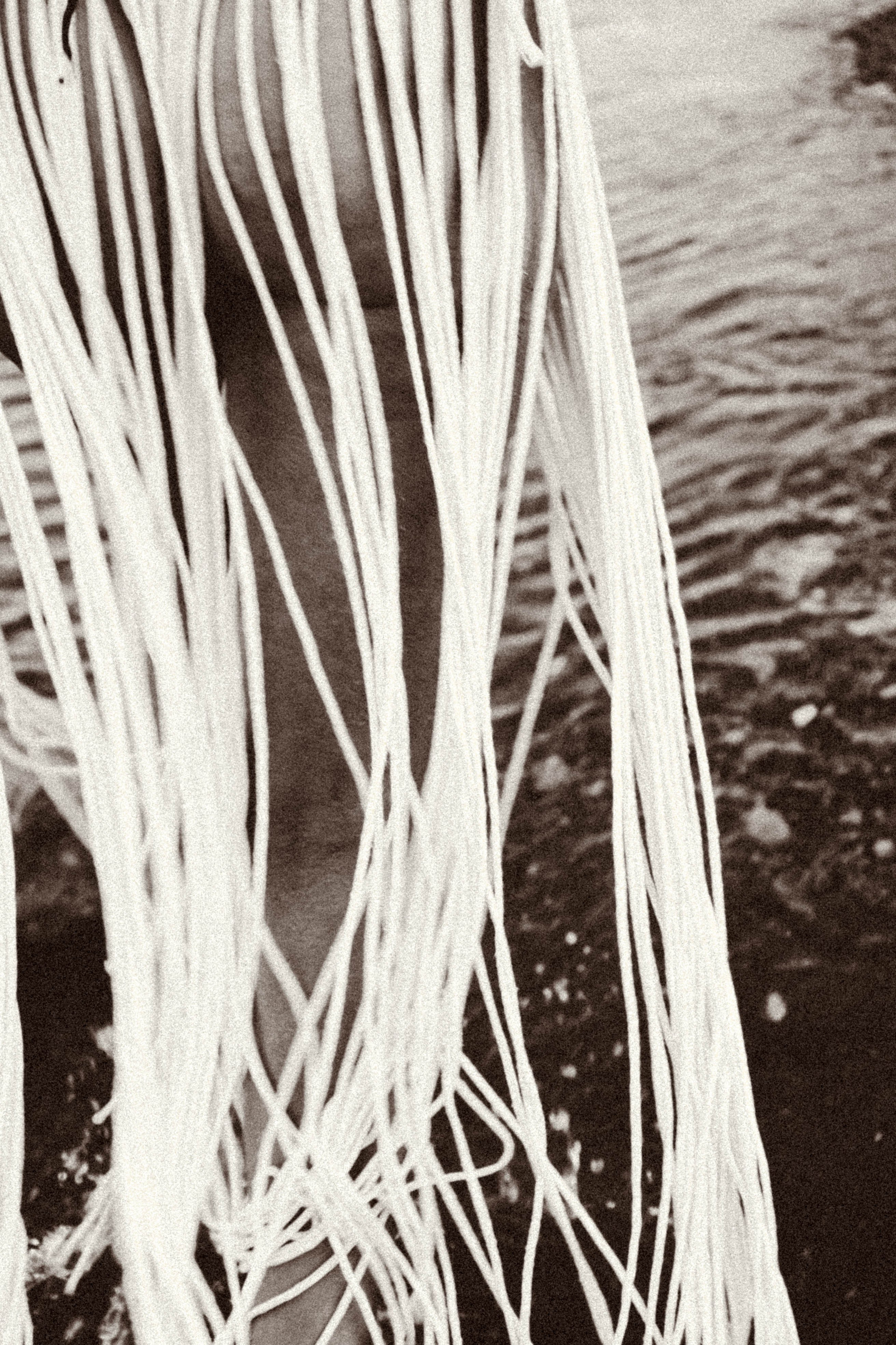 Рассвет. Профессиональный фотограф, Санкт-Петербург — Виктория Богомолова