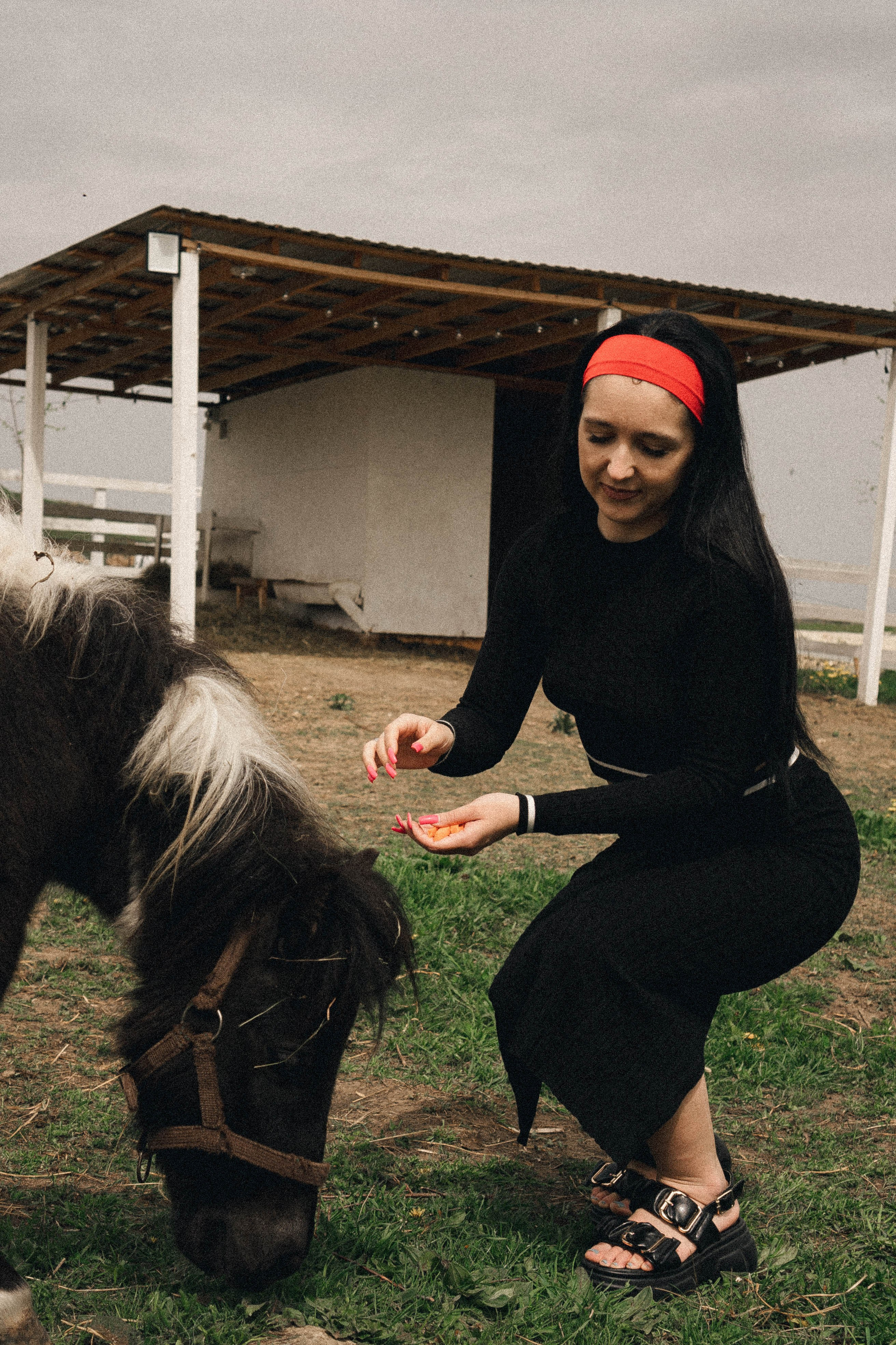 Ферма Альпак. Профессиональный фотограф, Санкт-Петербург — Виктория Богомолова