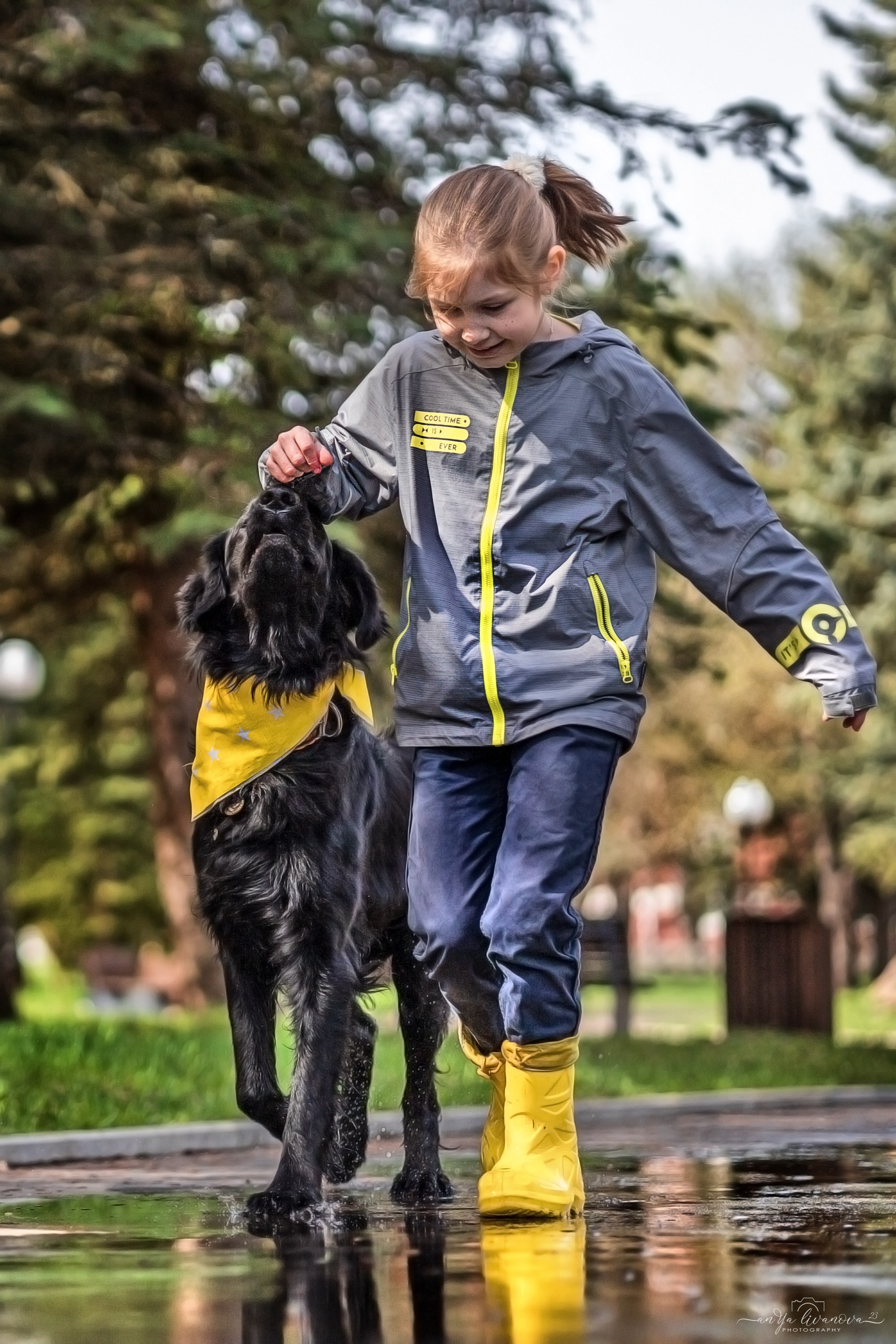 Солнышки. Фотограф анималист Аня Ливанова | Рыбинск