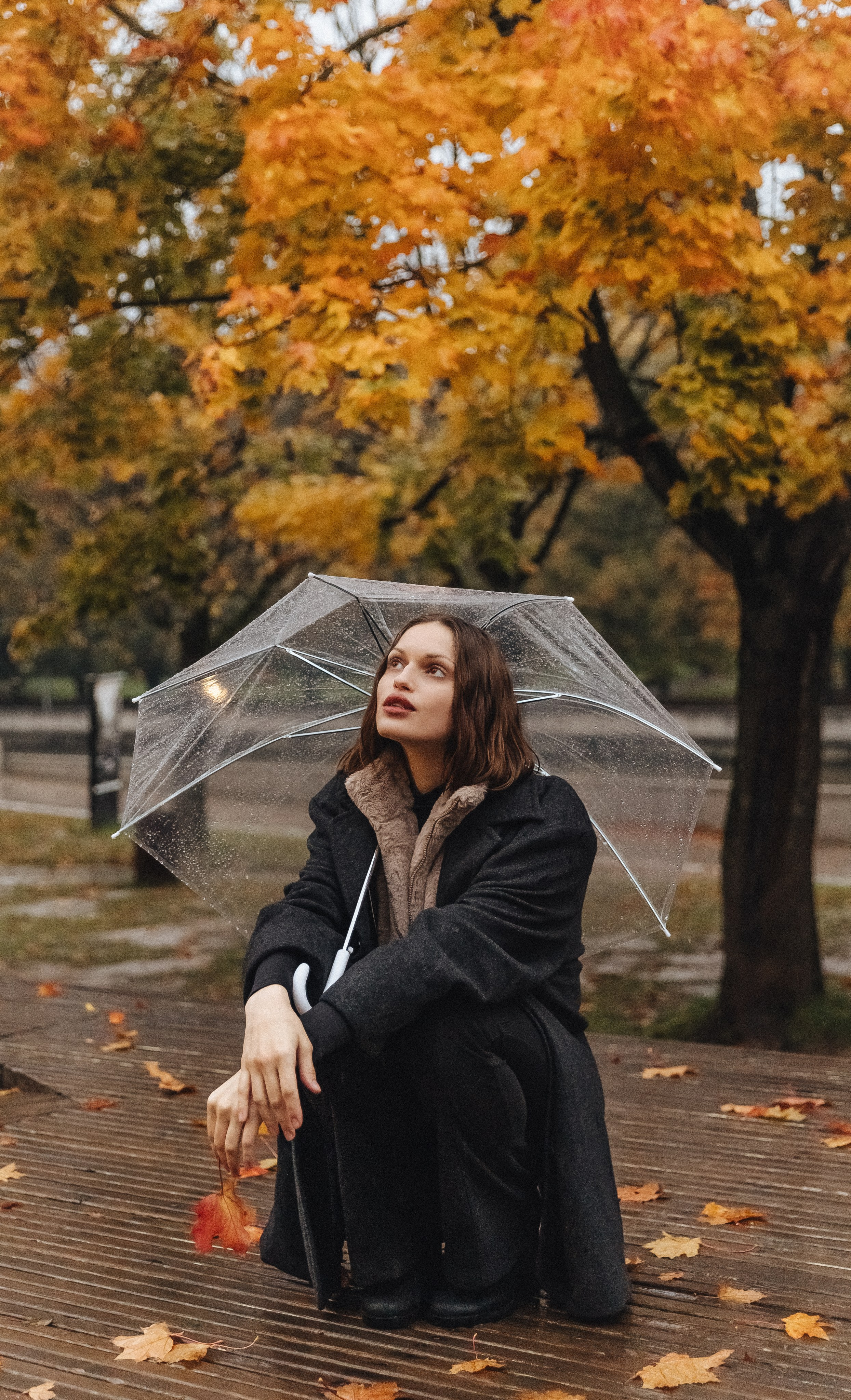 Autumn_. Diana Chumakova