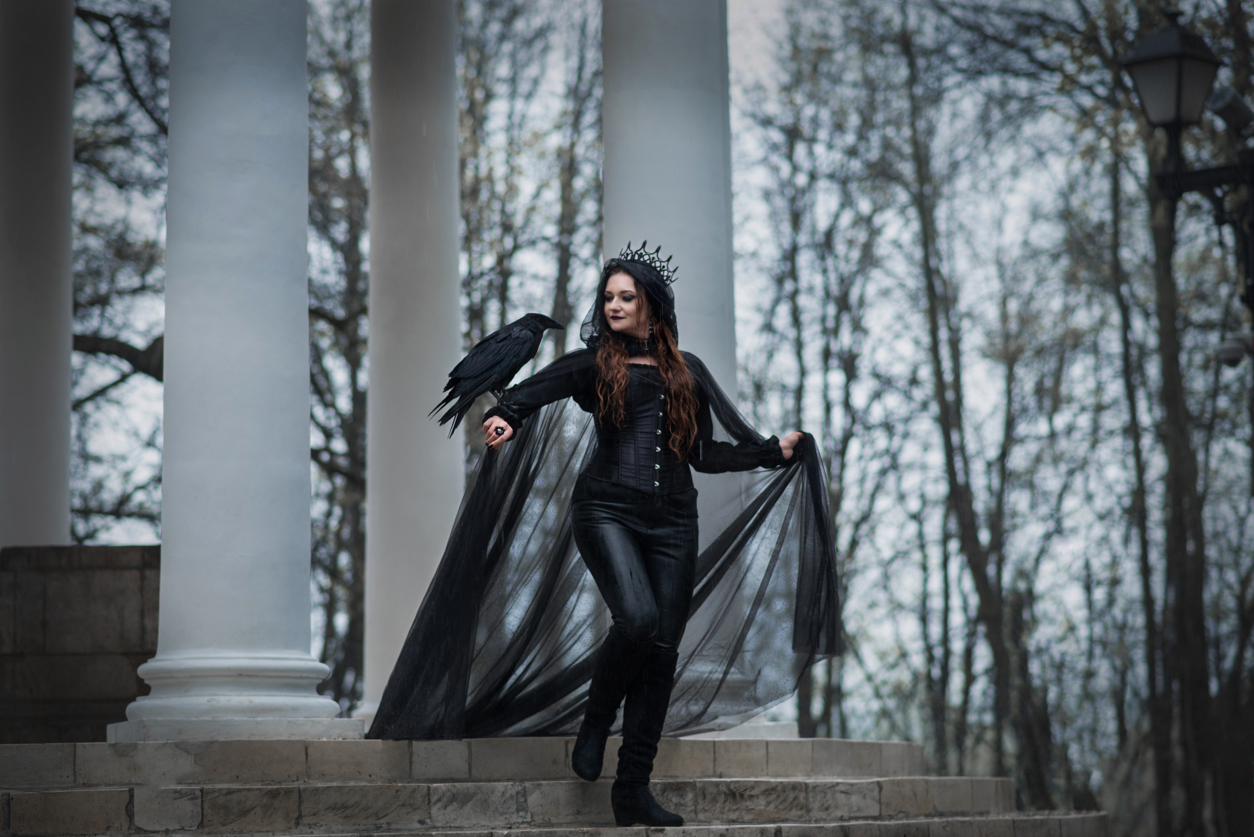 Черная Королева с вороном и конем. Анна Боровикова, фотограф Пушкино