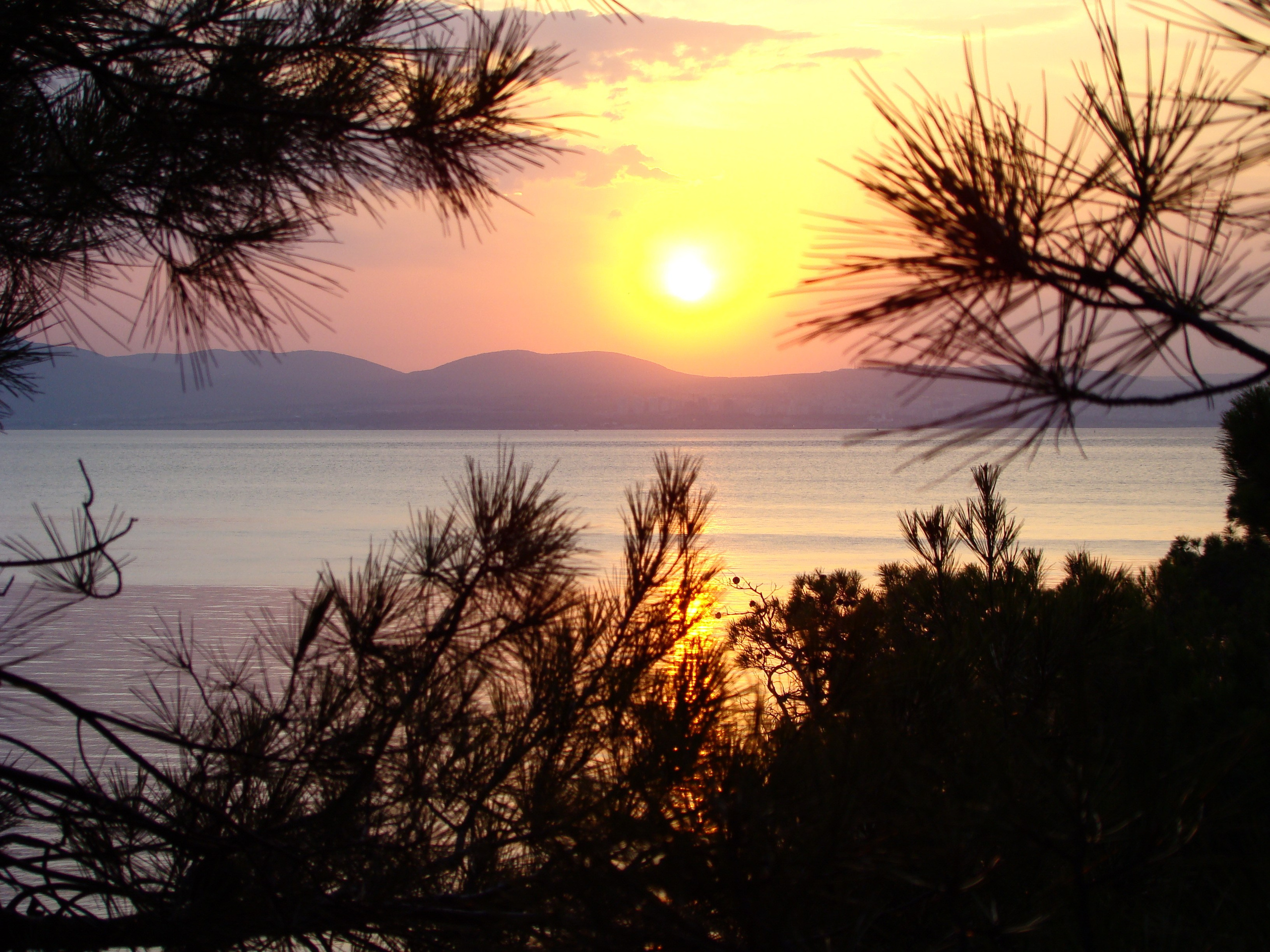 Кабардинка (фото Зевиных) 25.06-24.07.2008. Семейный, Свадебный фотограф СПБ Питер— Романова Екатерина