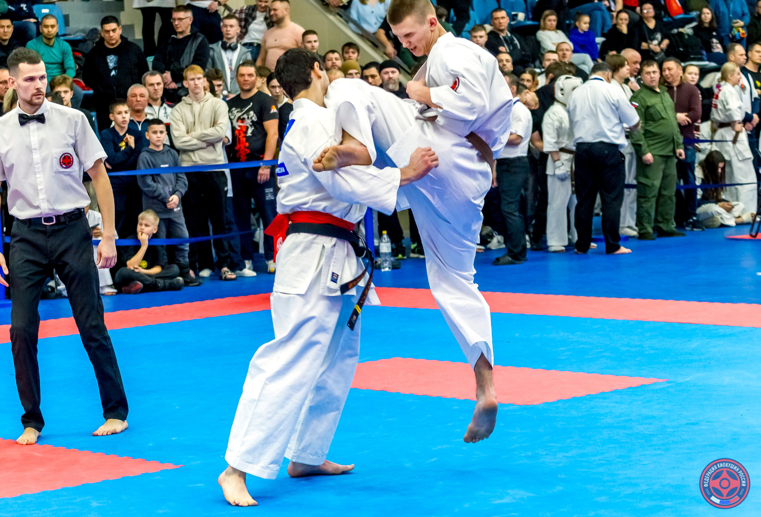 Международный турнир по киокушин «Открытый кубок Seiken». Репортажная съемка в Москве и области. Анималистика