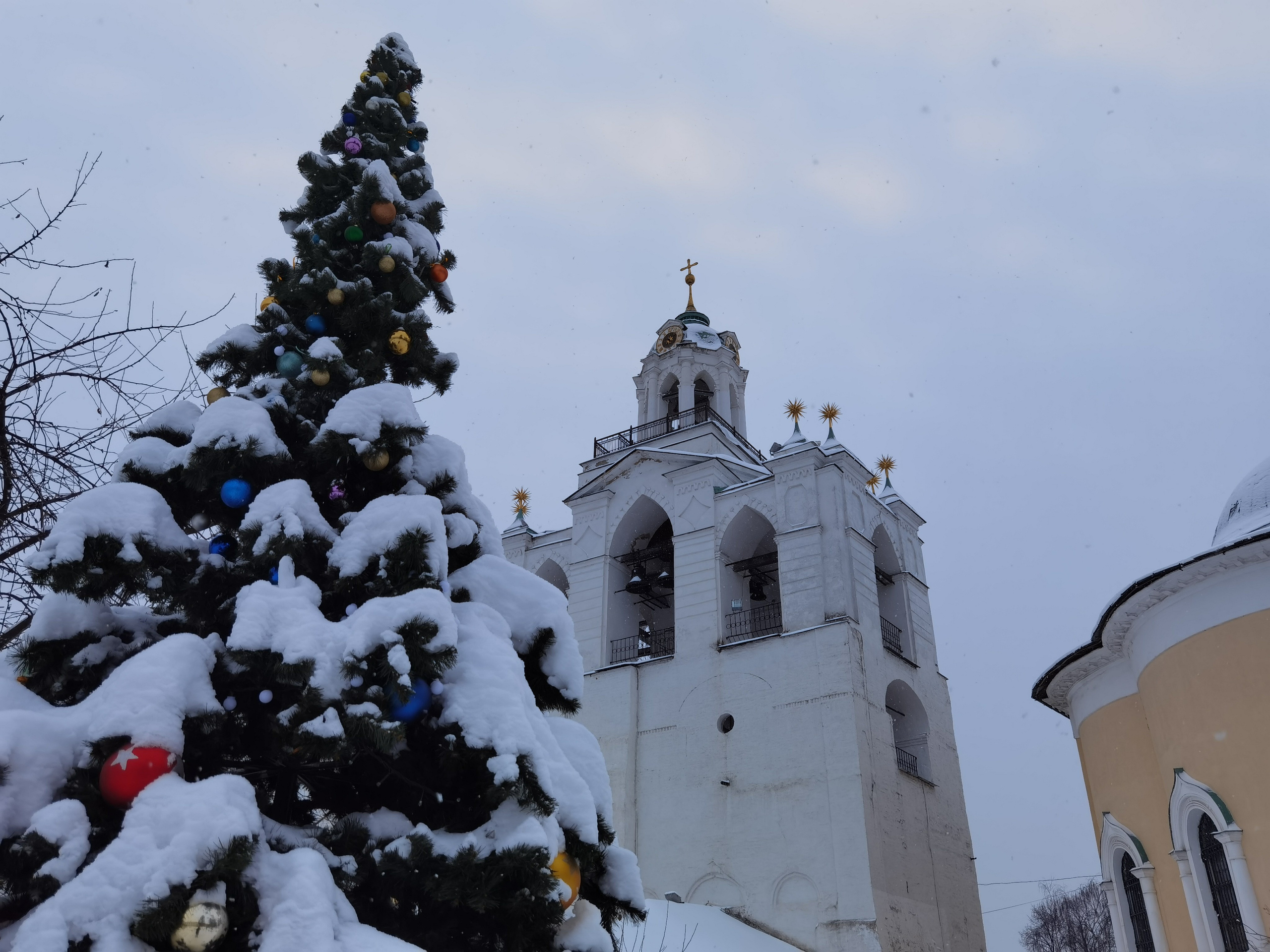Портфолио. ЯФотограф / Фотограф Ярославль, хорошие цены услуги качество на фото и фотосессии
