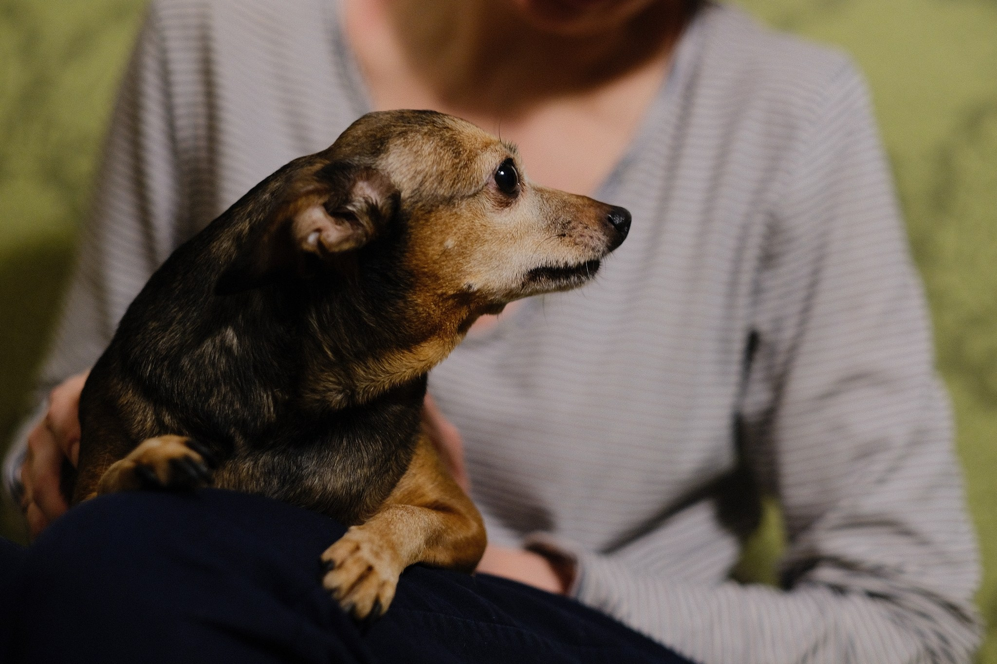 Лиса, Рада и их люди. Дмитрий Бречалов