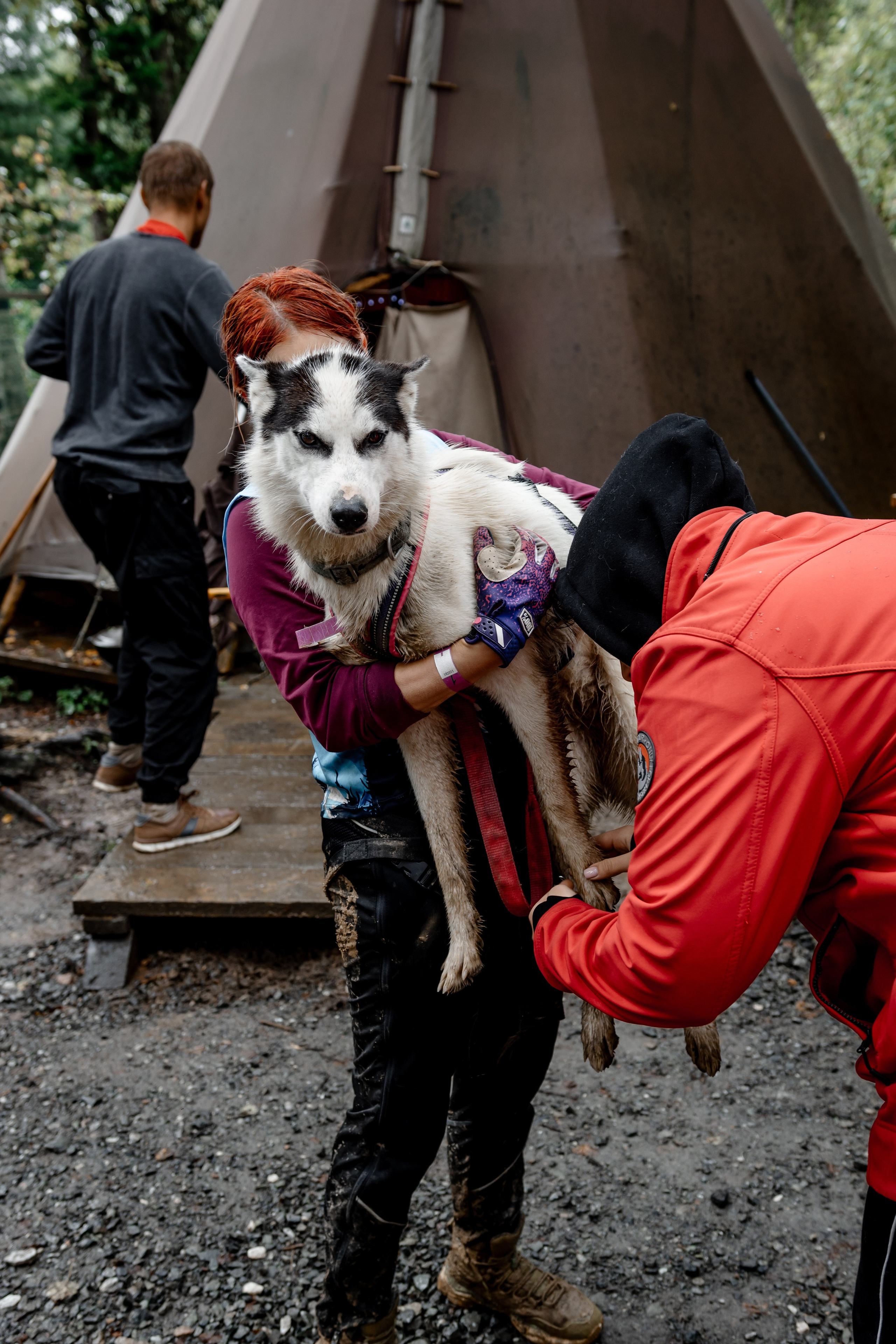 Дог-треккинг