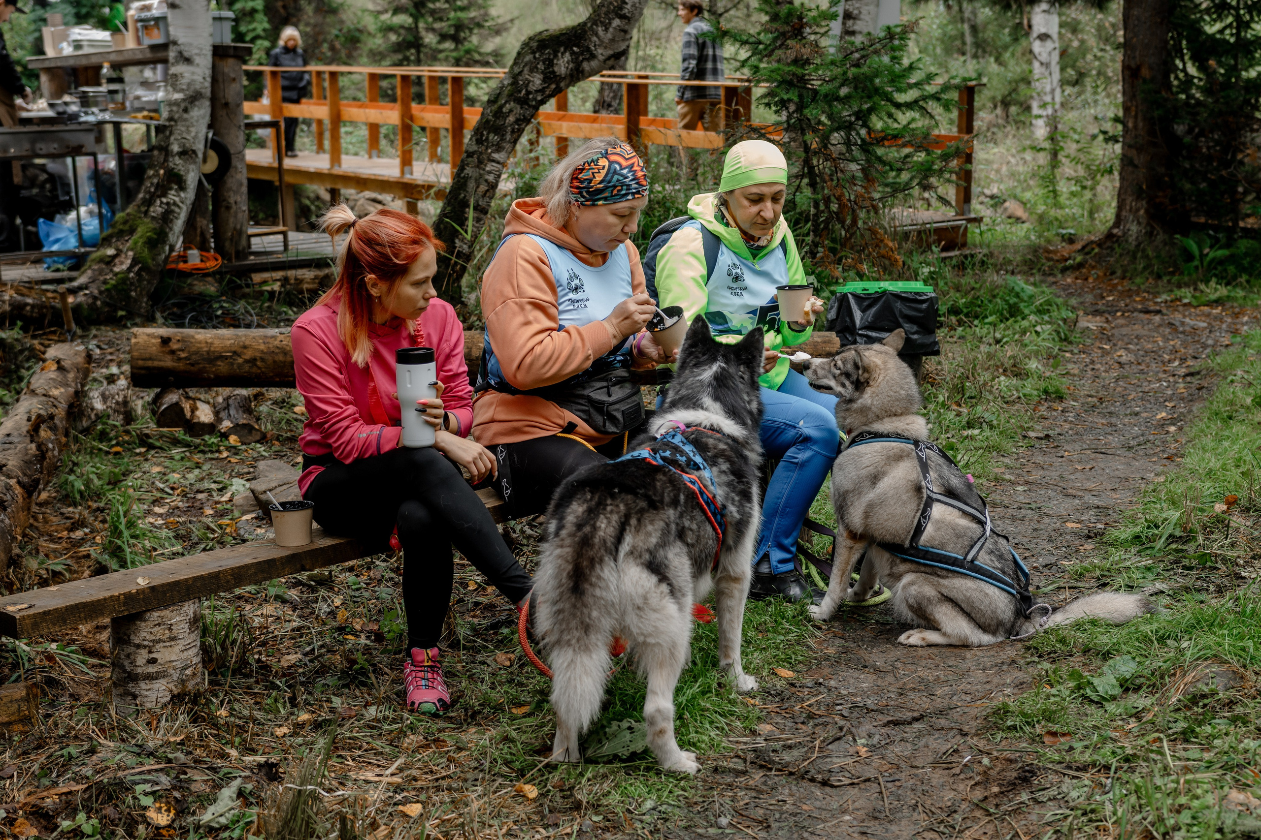 Дог-треккинг