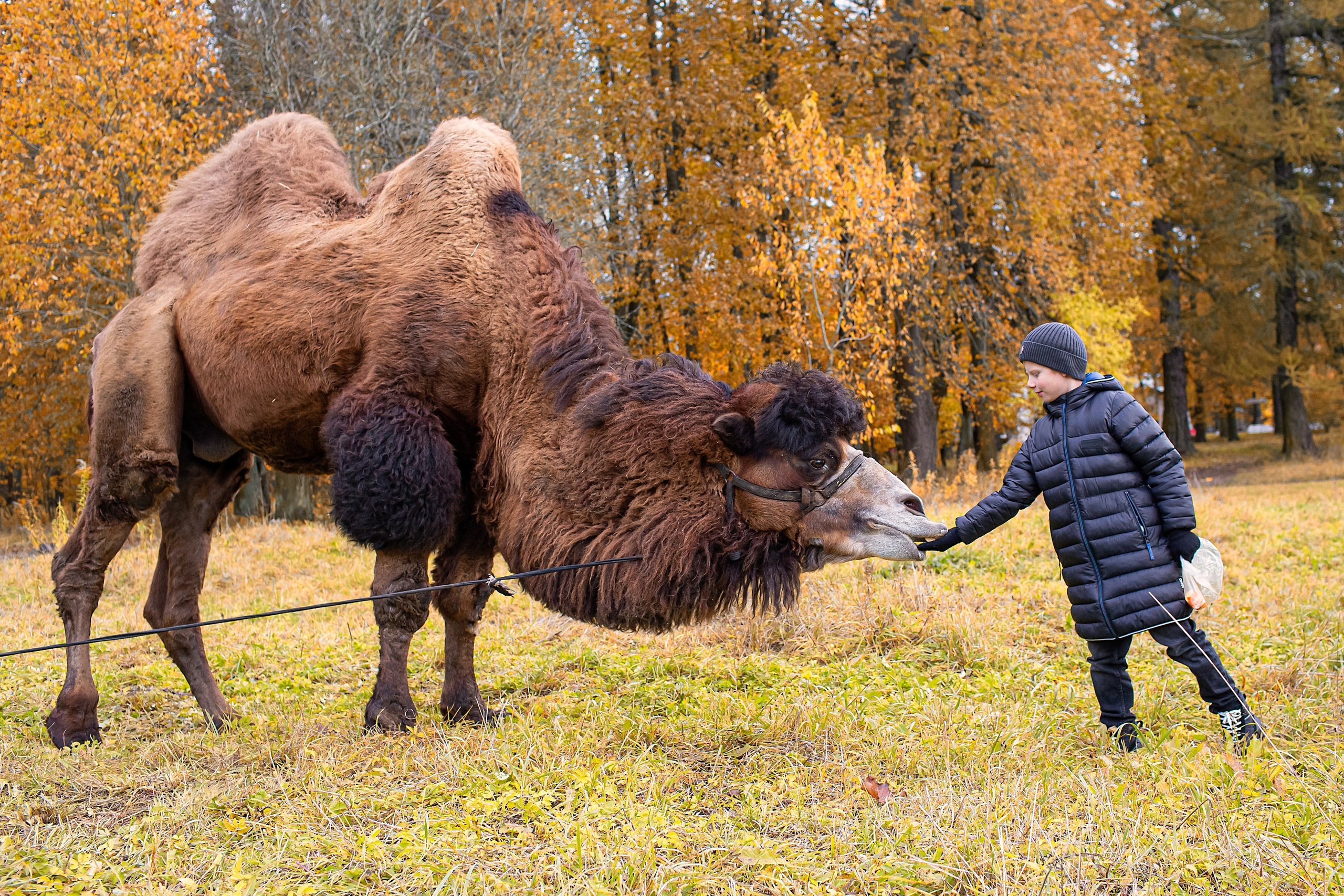 Фотосъёмка для выпускных альбомов из начальной школы. Свадебный, семейный, детский фотограф в Санкт-Петербурге