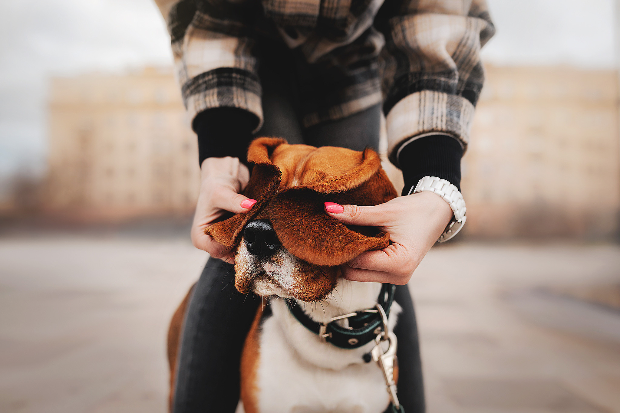 Даша и Харли. Фотограф-анималист • love-story • Санкт-Петербург