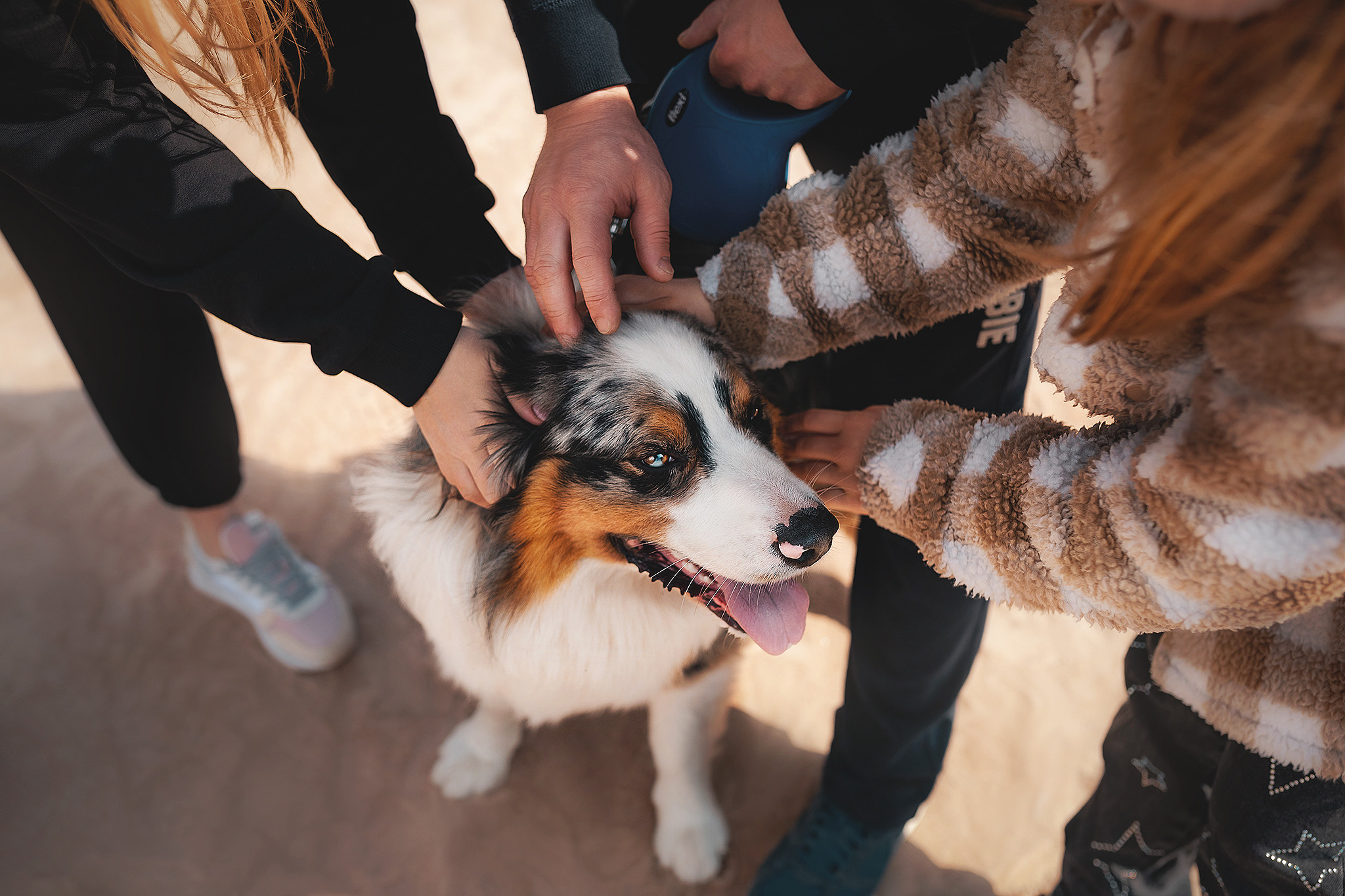 Семейная. Фотограф-анималист • love-story • Санкт-Петербург