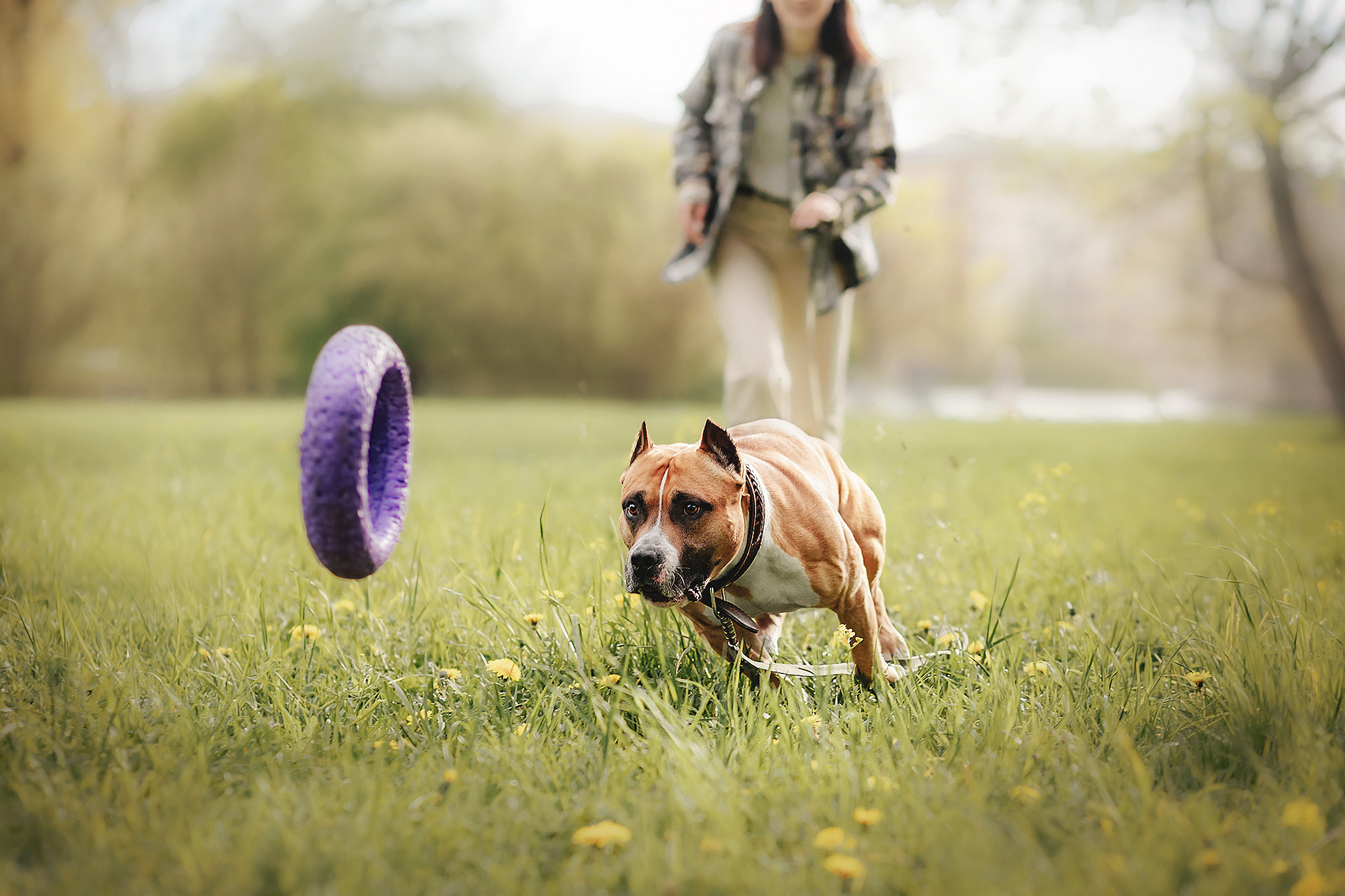 Аня и Брюс. Фотограф-анималист • love-story • Санкт-Петербург