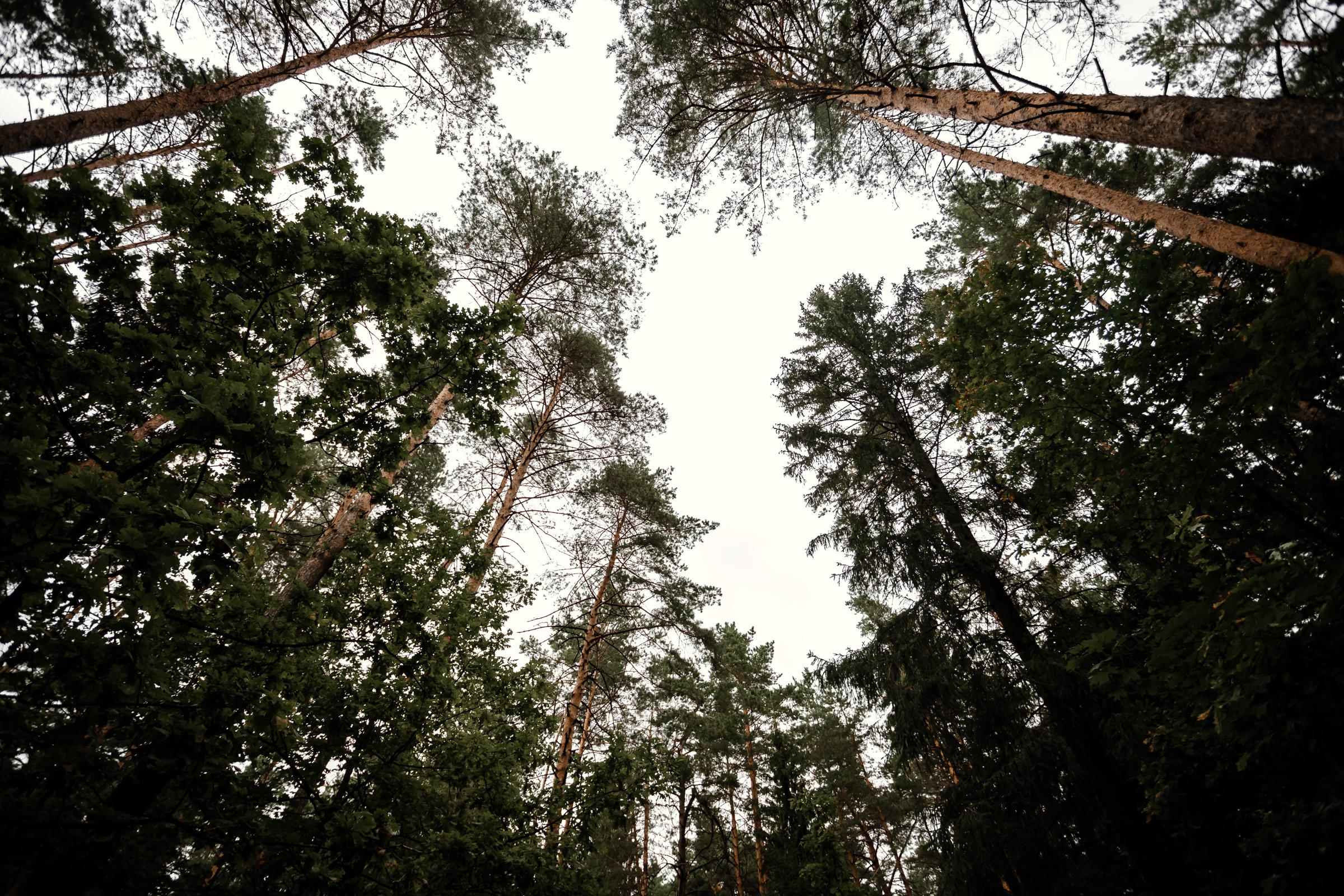 Саша + Катя. Wedband.by Свадебный фотограф Анатолий Матюшонок