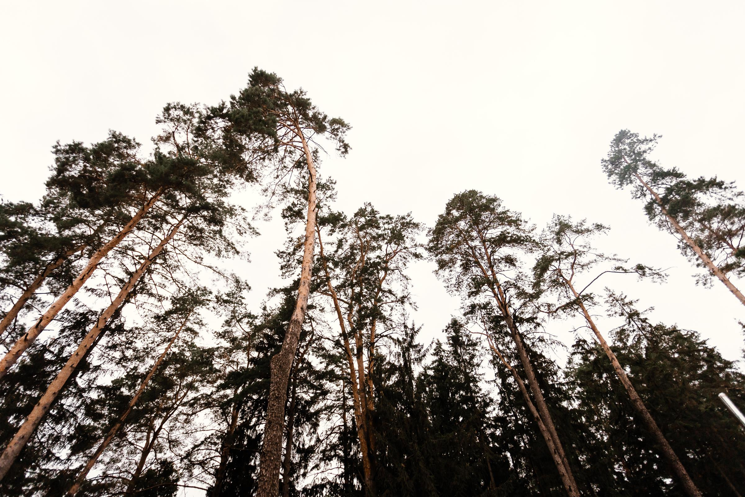 Саша + Катя. Wedband.by Свадебный фотограф Анатолий Матюшонок