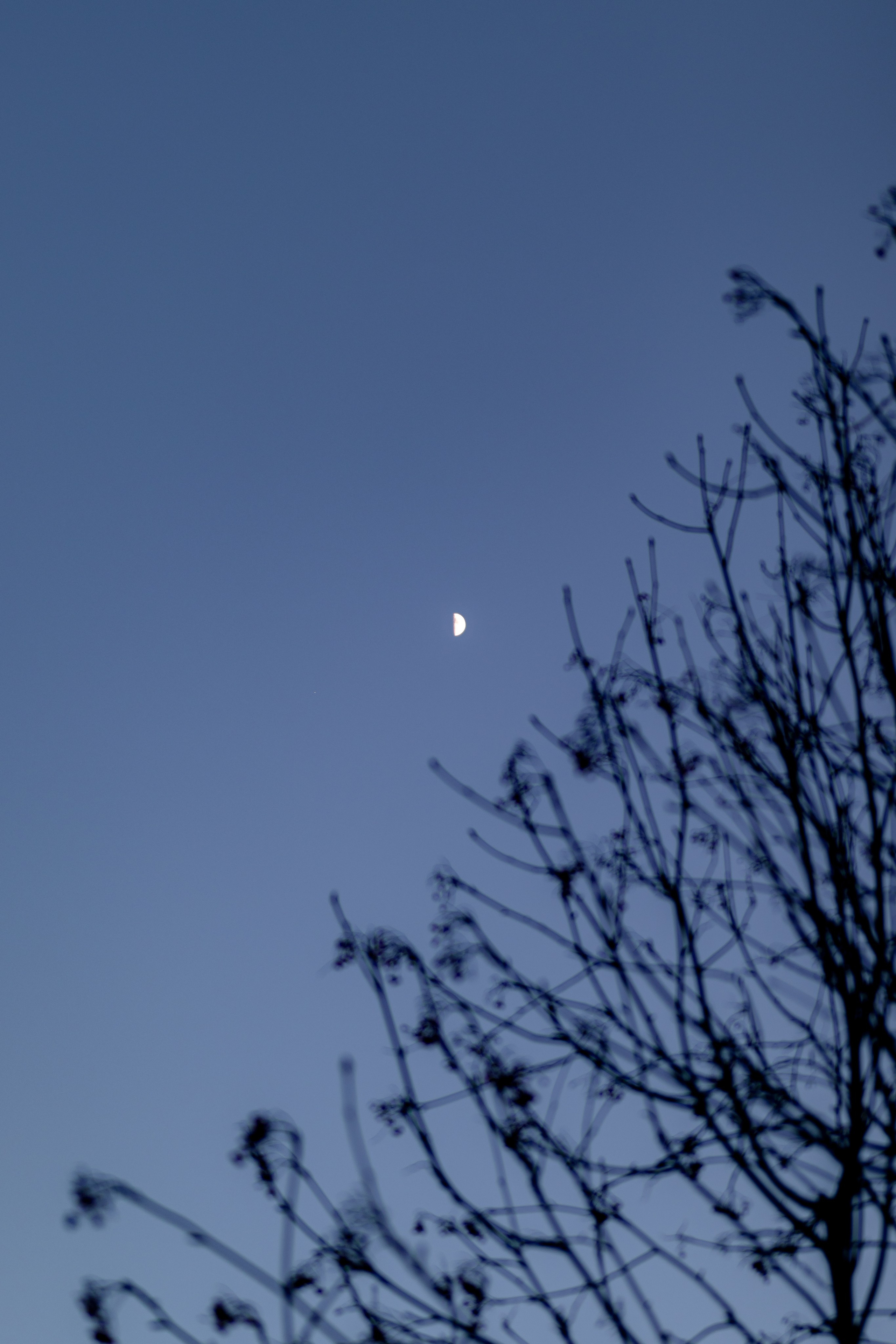 Simple russian girl. Лиза, ваш портретный и репортажный фотограф в Ульяновске!
